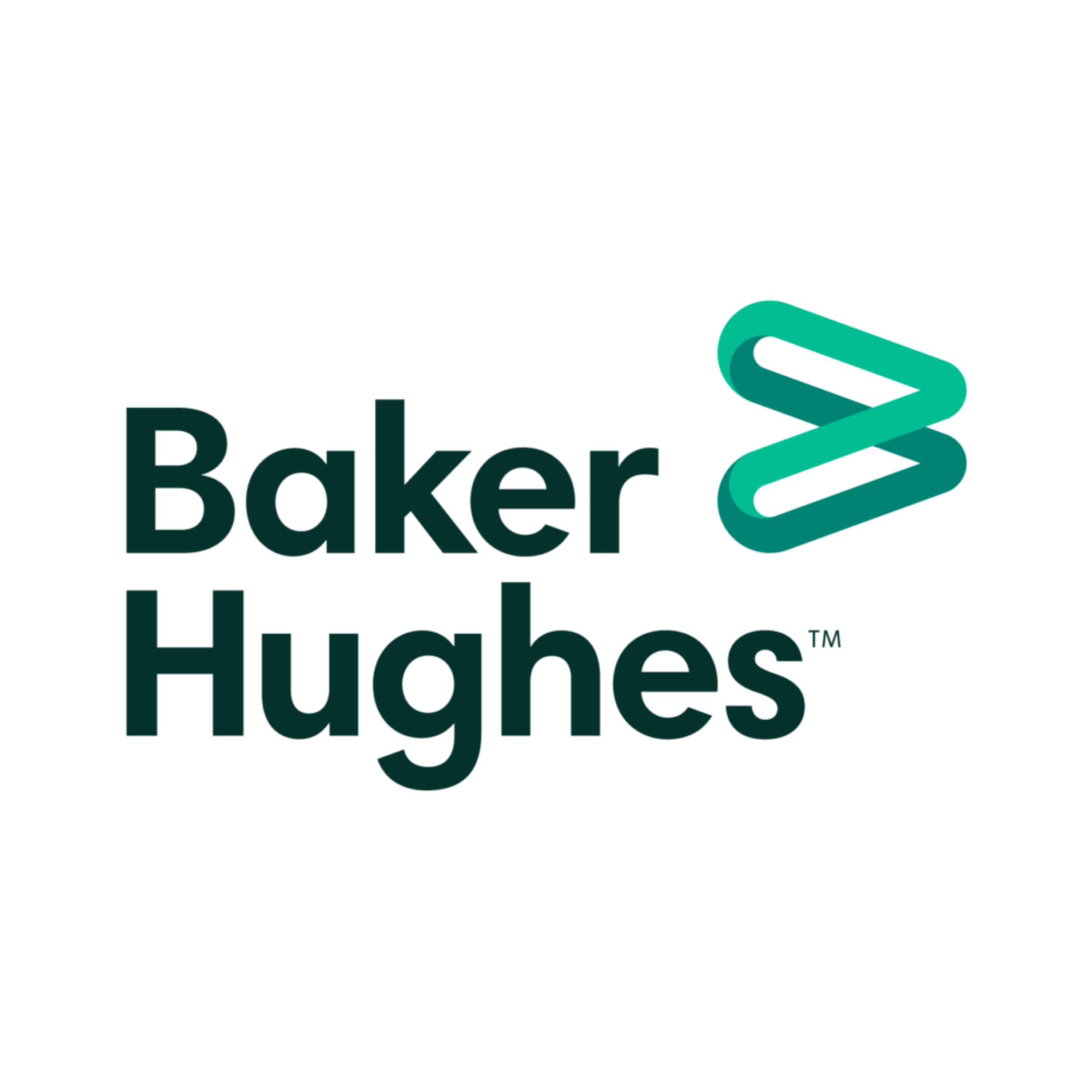 BAKER HUGHES   logo for website.png