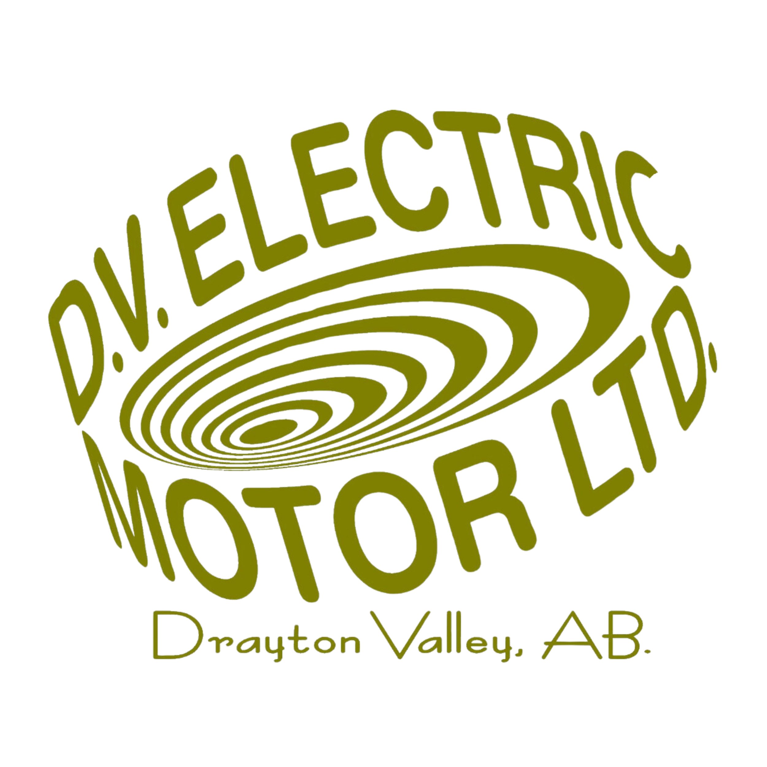 DV ELECTIC MOTOR logo for website .png