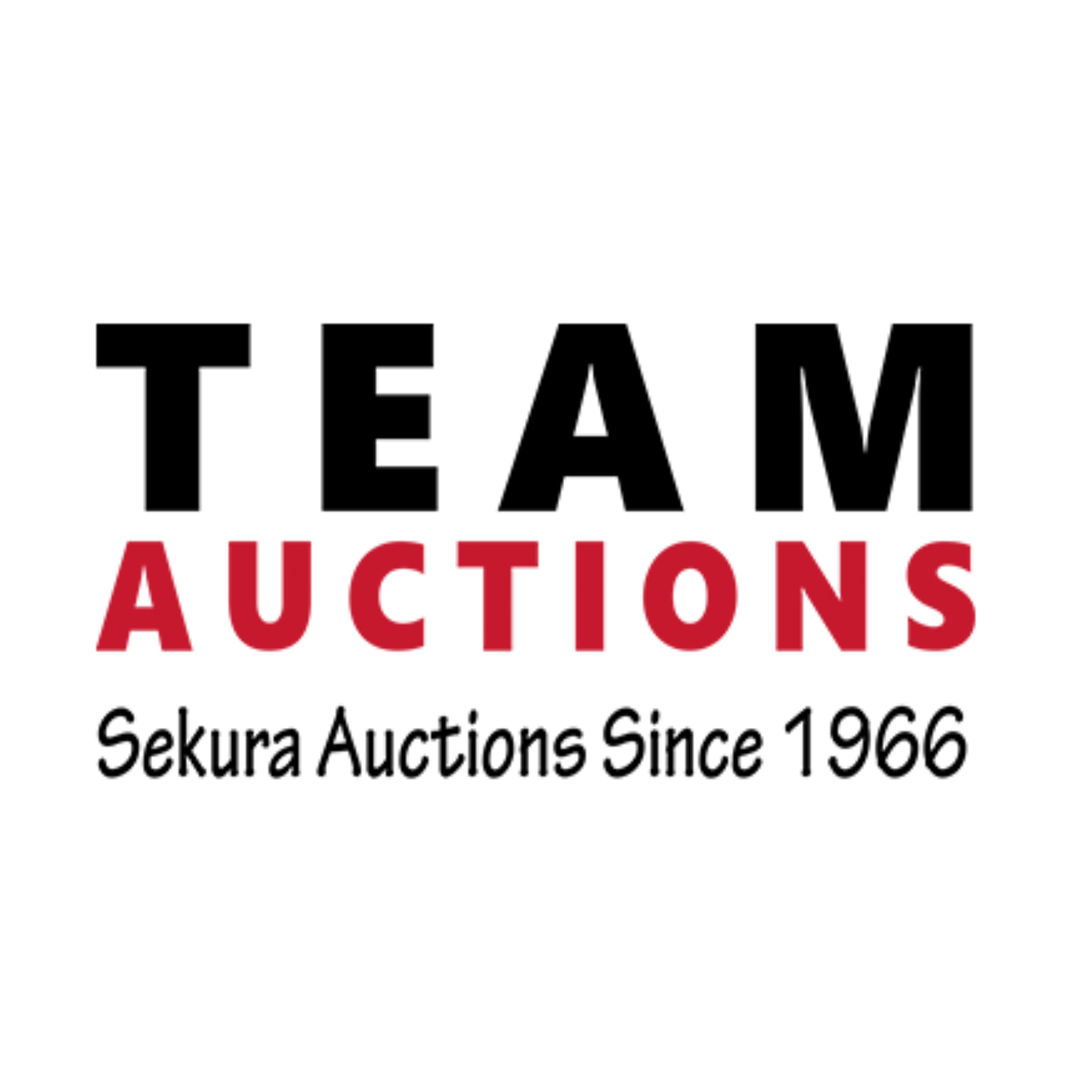TEAM AUCTIONS logo for website.png