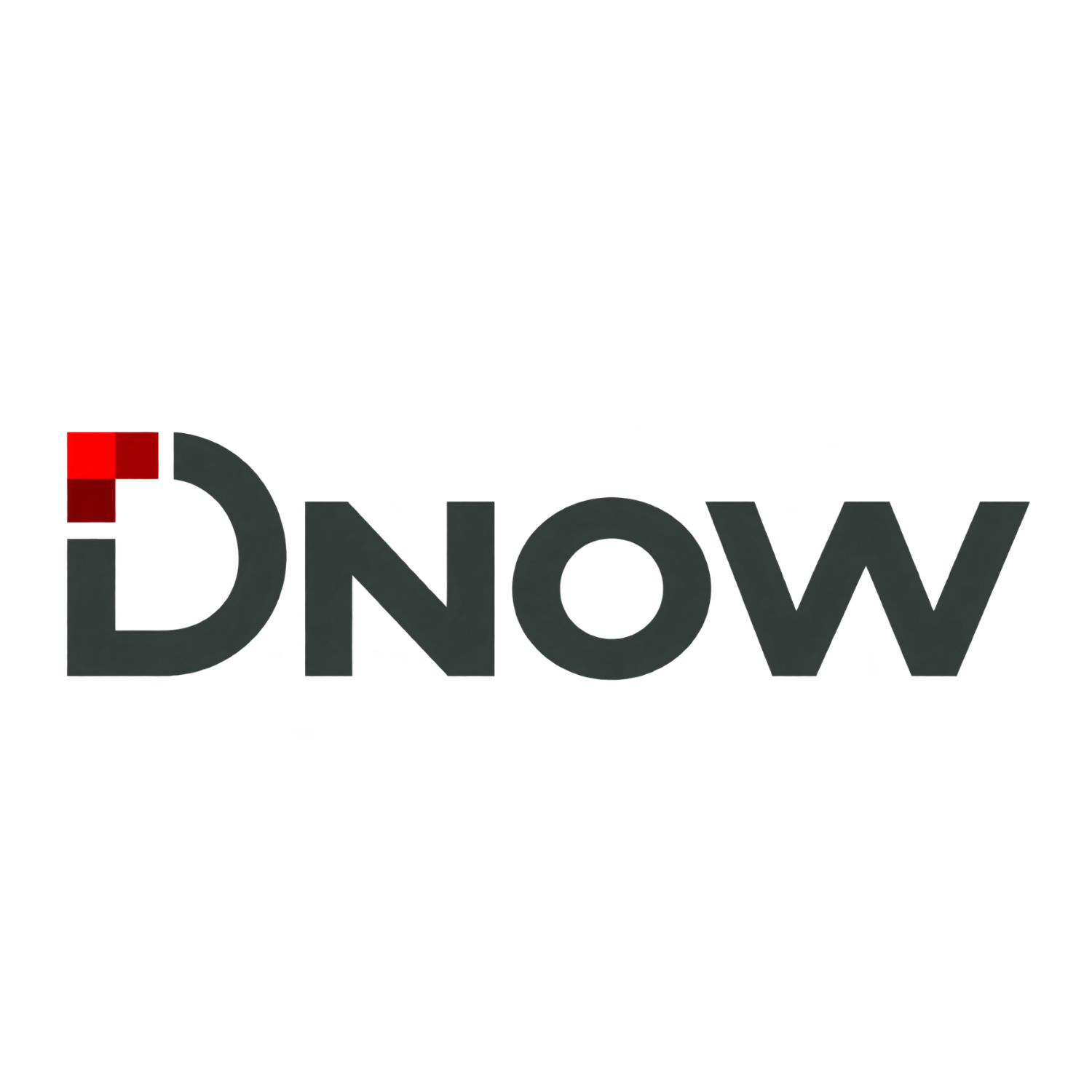 dnow logo for website.png