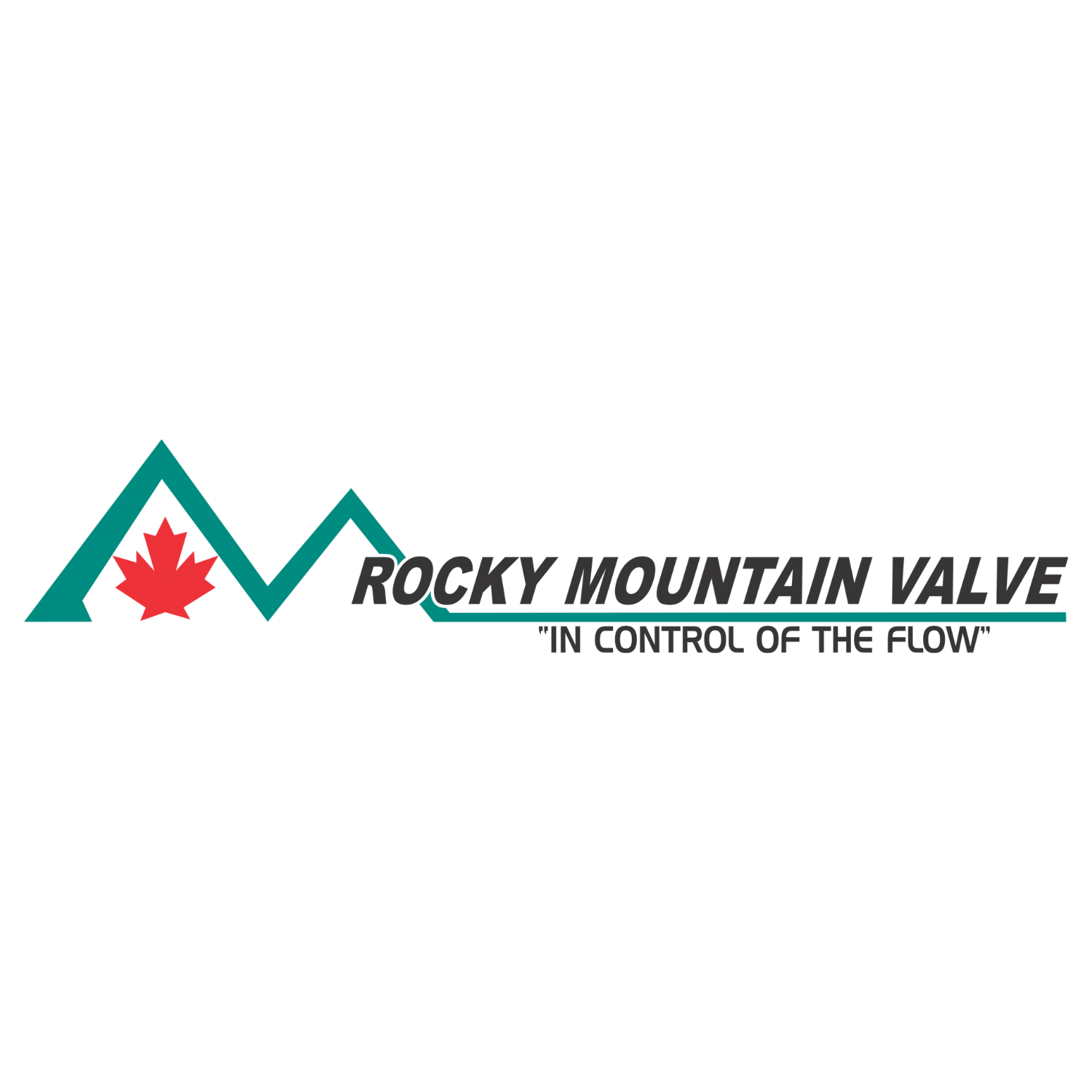 ROCKY MOUNTAIN VALVE FOR WEBSITE.png