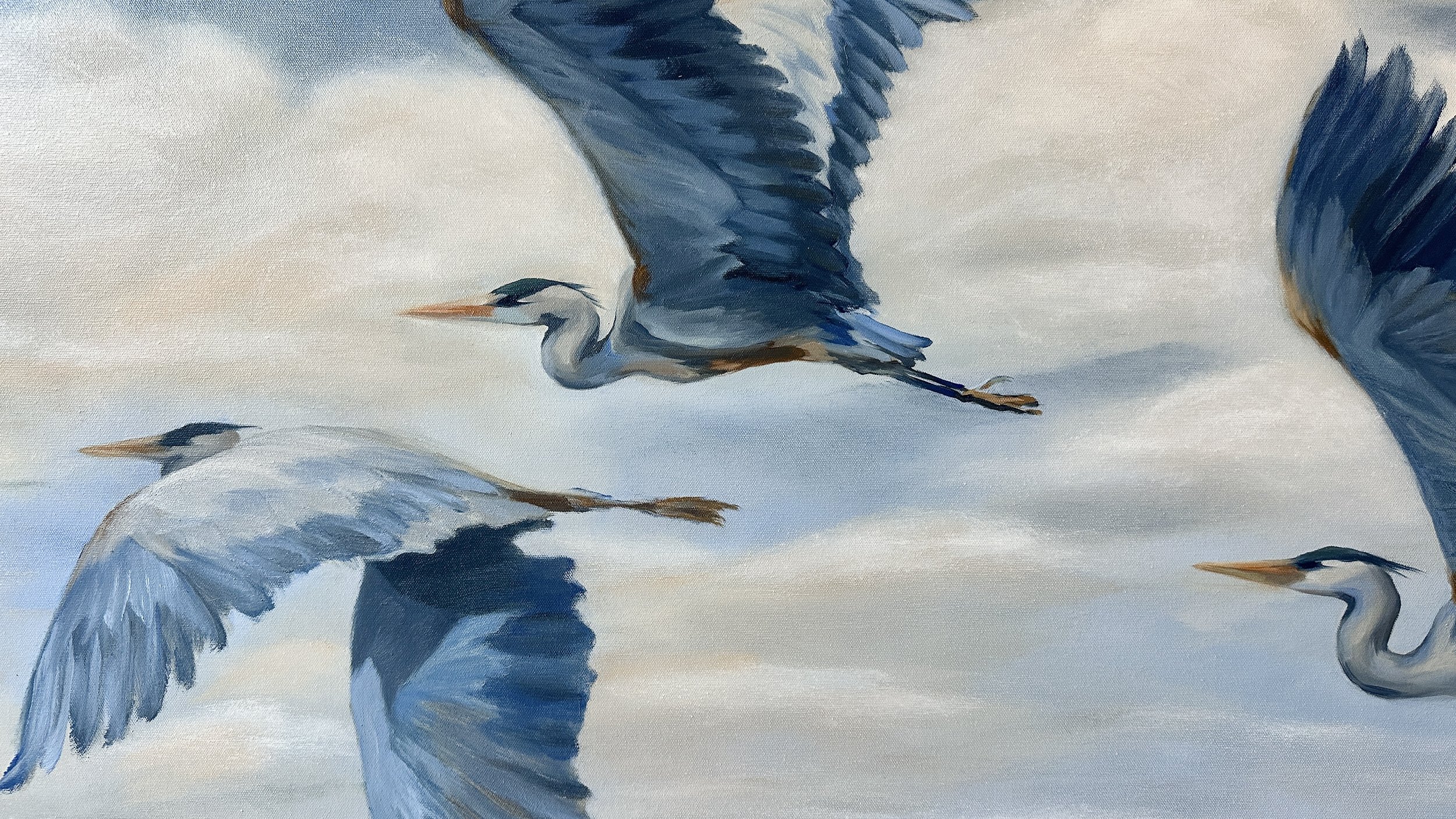 Summer_Herons2.JPG