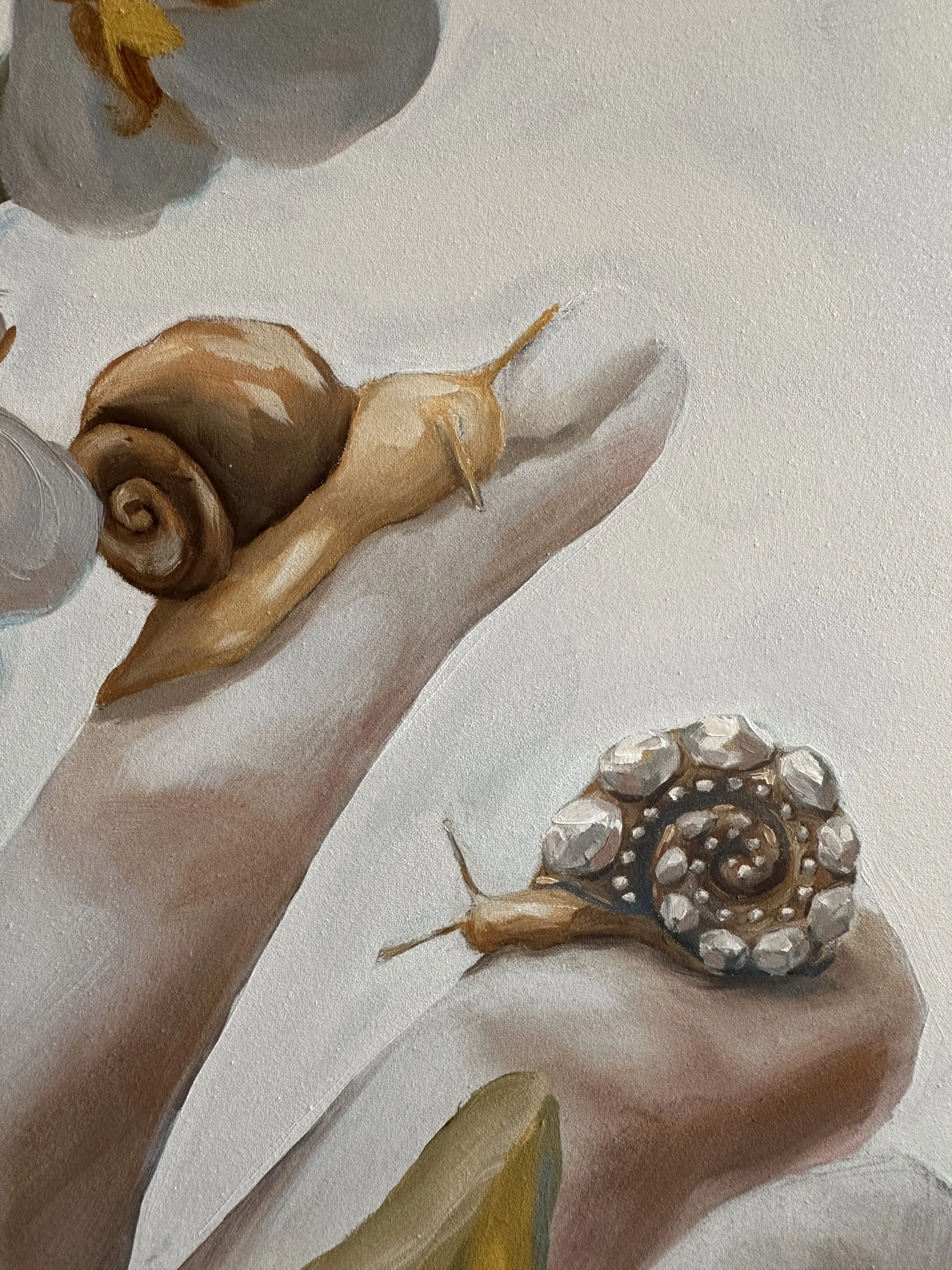 Slow Wonders3.JPG