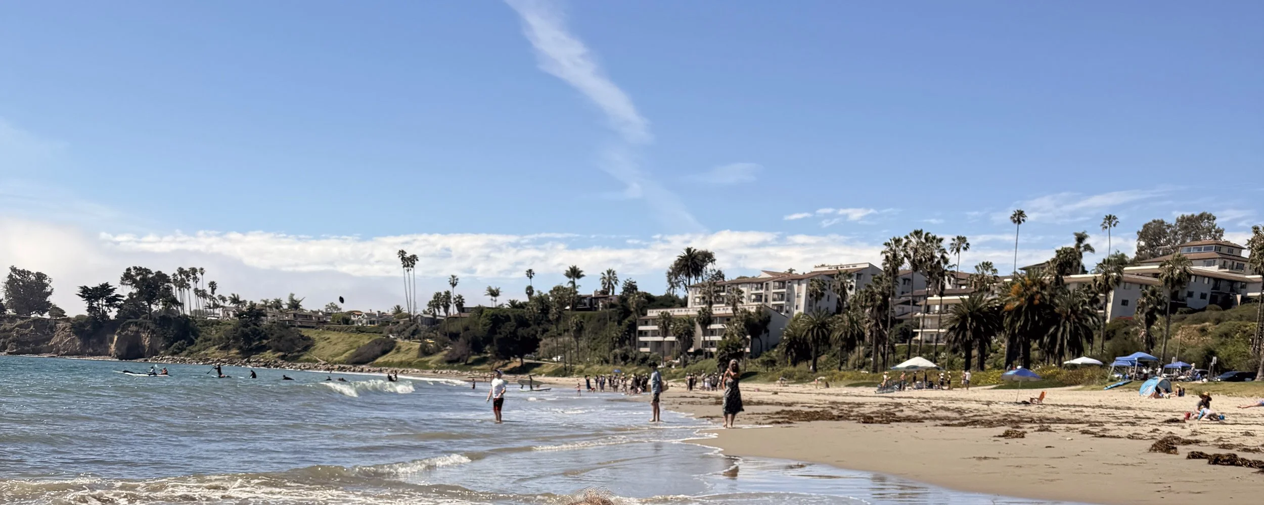 Clear Group Adopts Leadbetter Beach