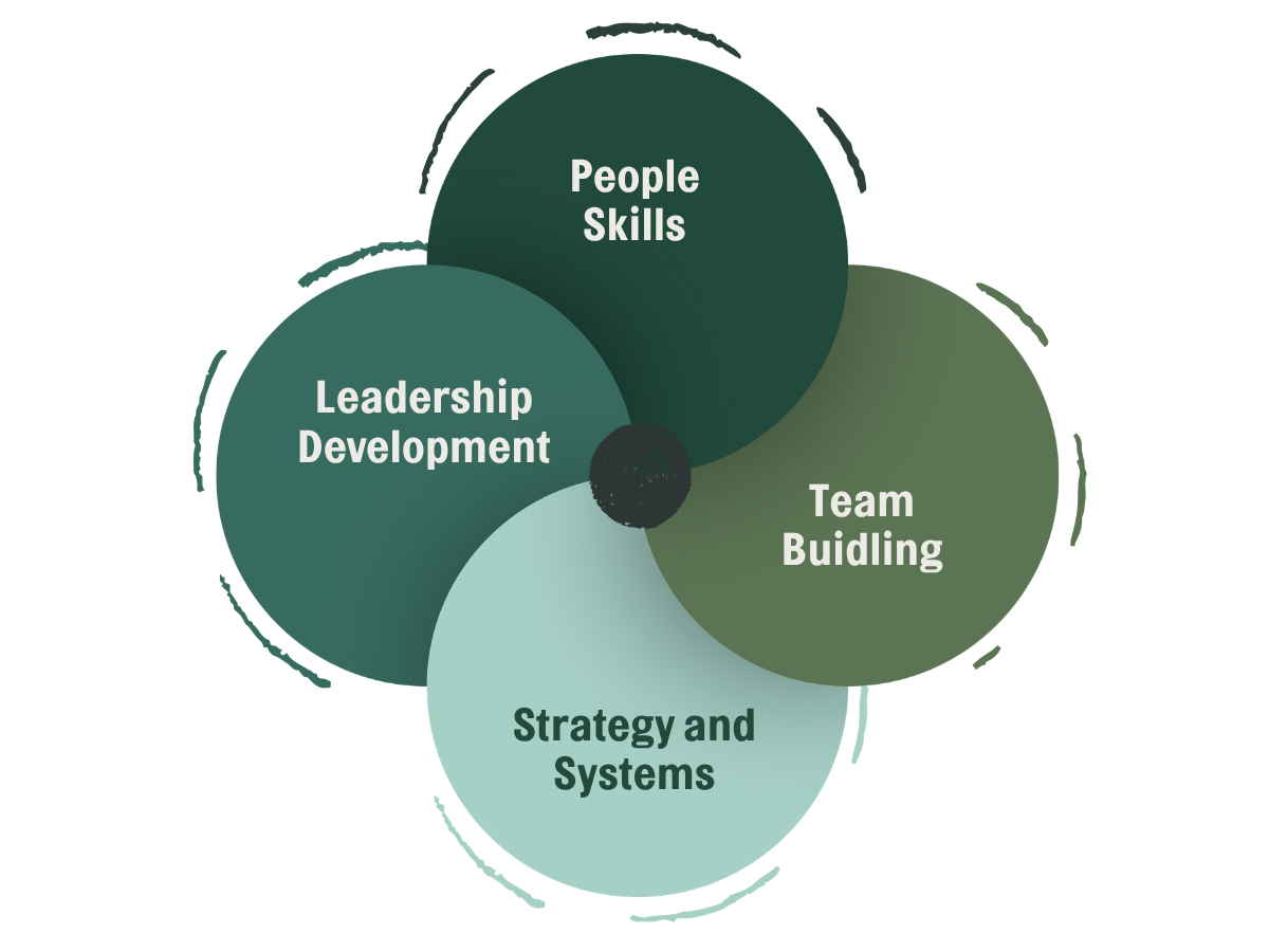 Consulting for Visionary Organizations: Leadership Development People Skills Team Building Strategy & Systems Alignment