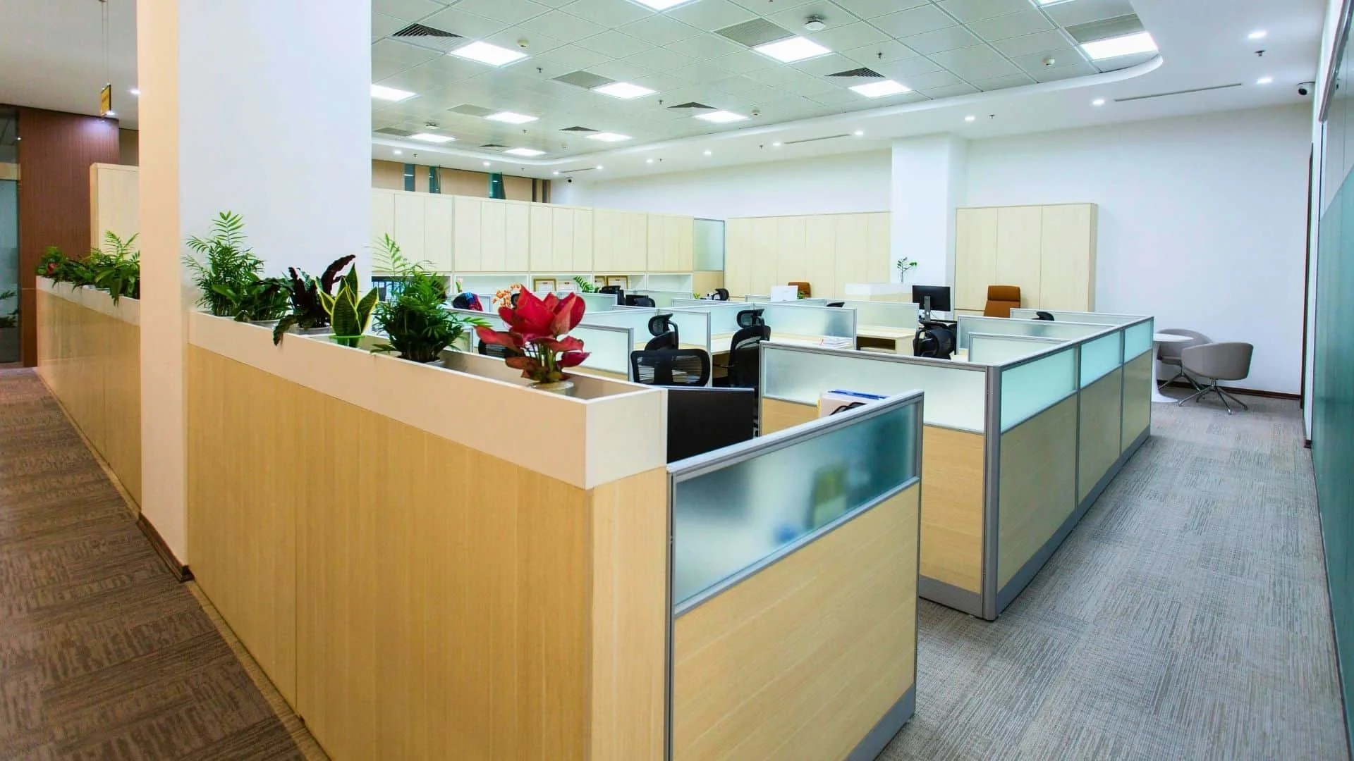 Office space with cubicles