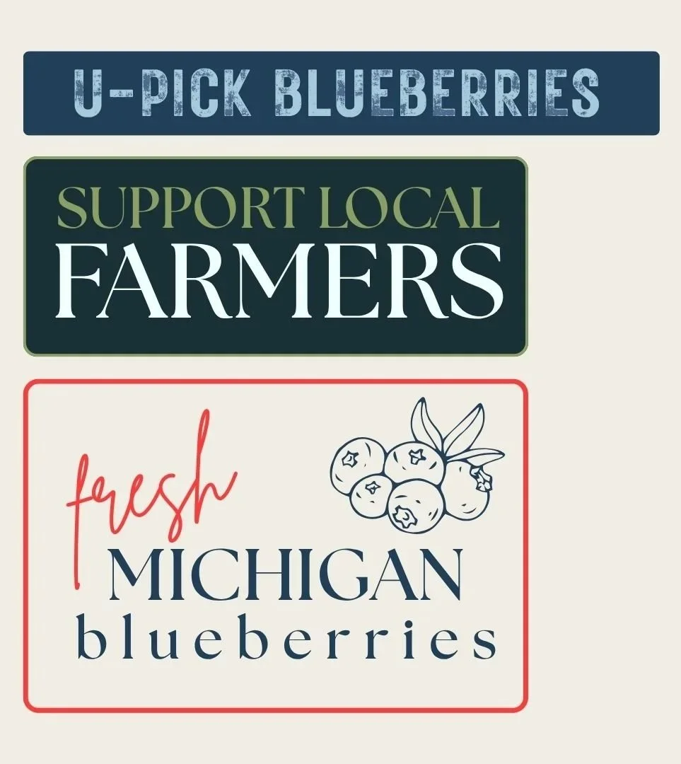 Sign promoting blueberries, supporting local farmers, featuring fresh Michigan blueberries.