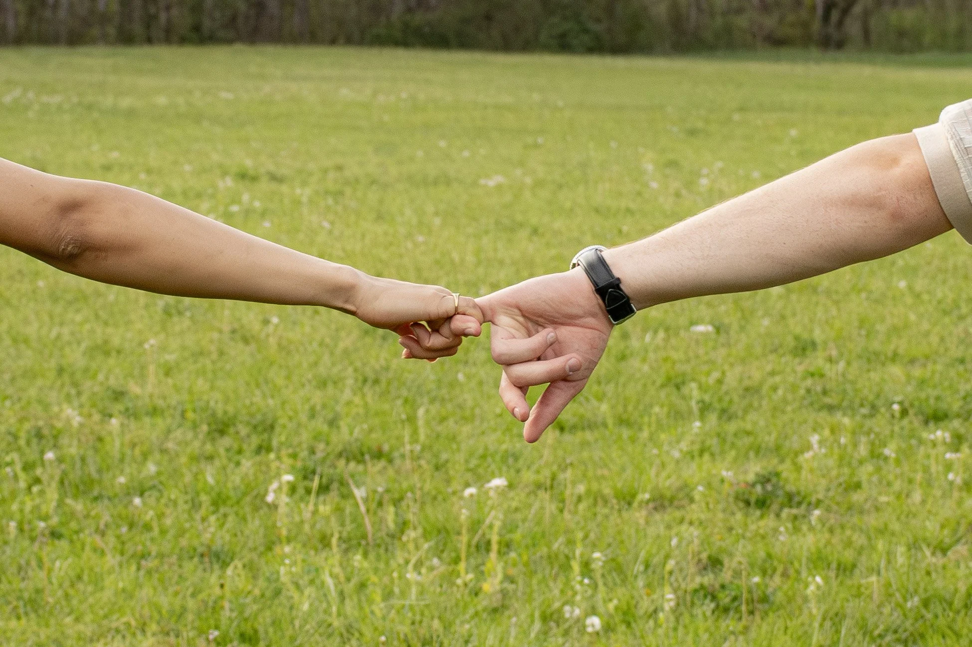 Two people holding hands in a grassy field, with one person's hand on the left and the other's on the right, and the background is blurred with trees.