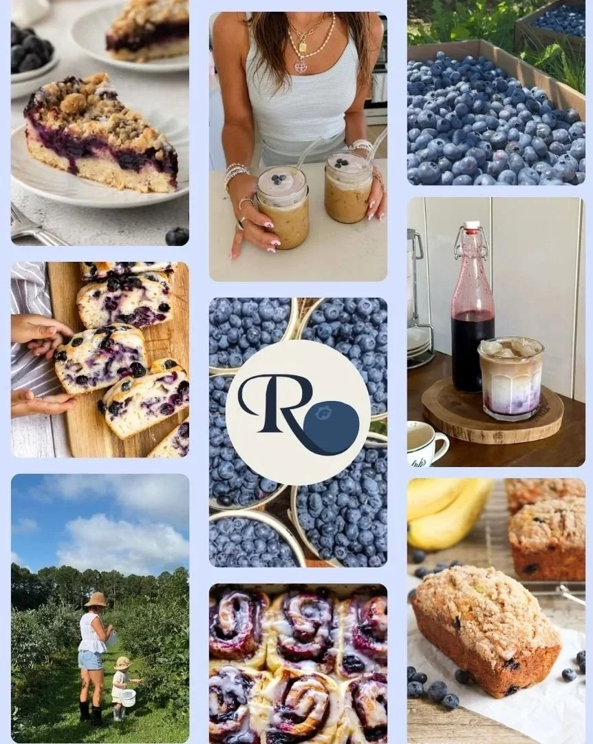 Collage of blueberry-themed foods and activities. Top left features blueberry pie slices. Top center shows a woman holding two jars of blueberry smoothie drinks. Top right displays a rectangular tray of fresh blueberries. Middle right has a glass bottle and glass of blueberry soda. Bottom center shows a logo with a blueberry and the letters 'TR'. Bottom left depicts a woman and child picking blueberries outdoors. Bottom right shows a sliced blueberry cinnamon roll with blueberries around it.