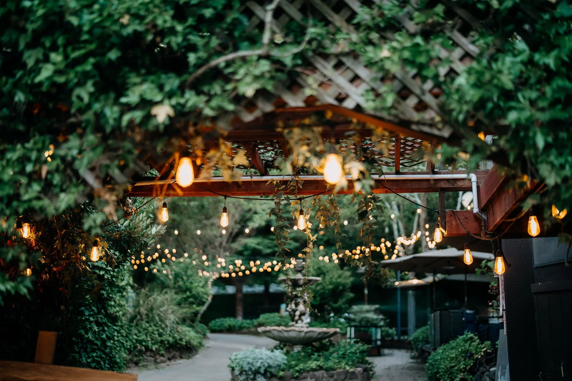 String Lights