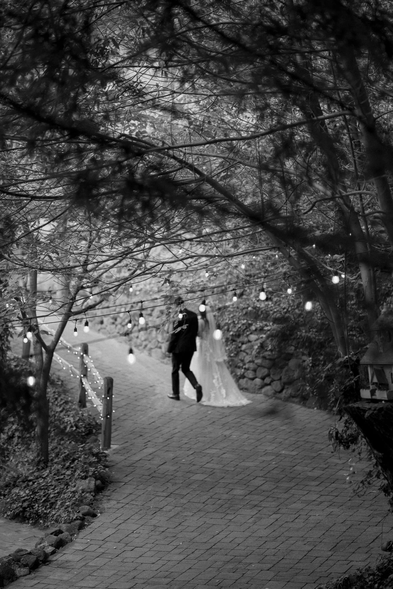 Black and white photo of the couple walking a tree-lined path