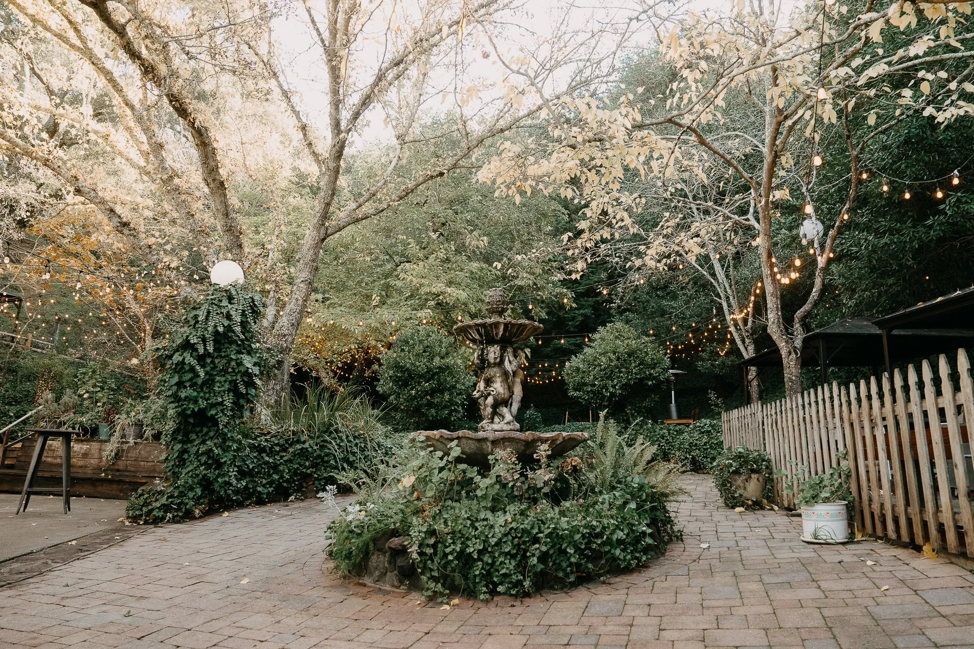 Garden & Fountain