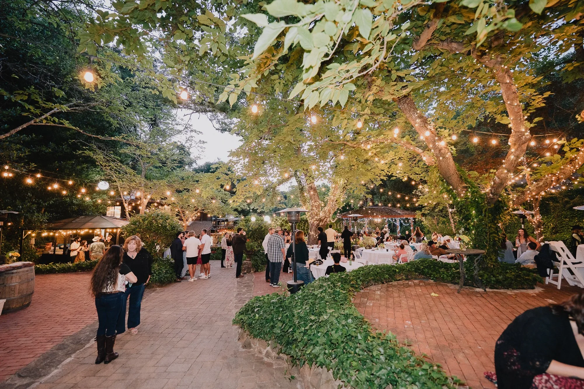 Evening reception glowing under string lights