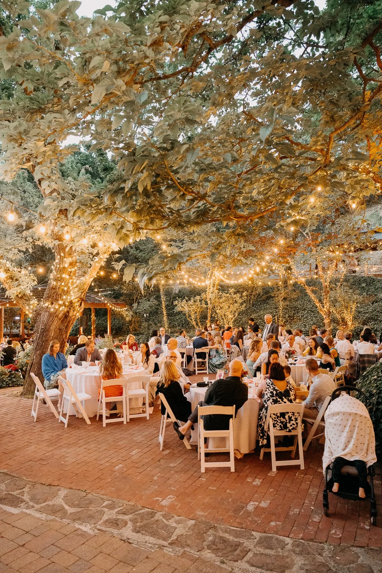 Dinner Under the Lights