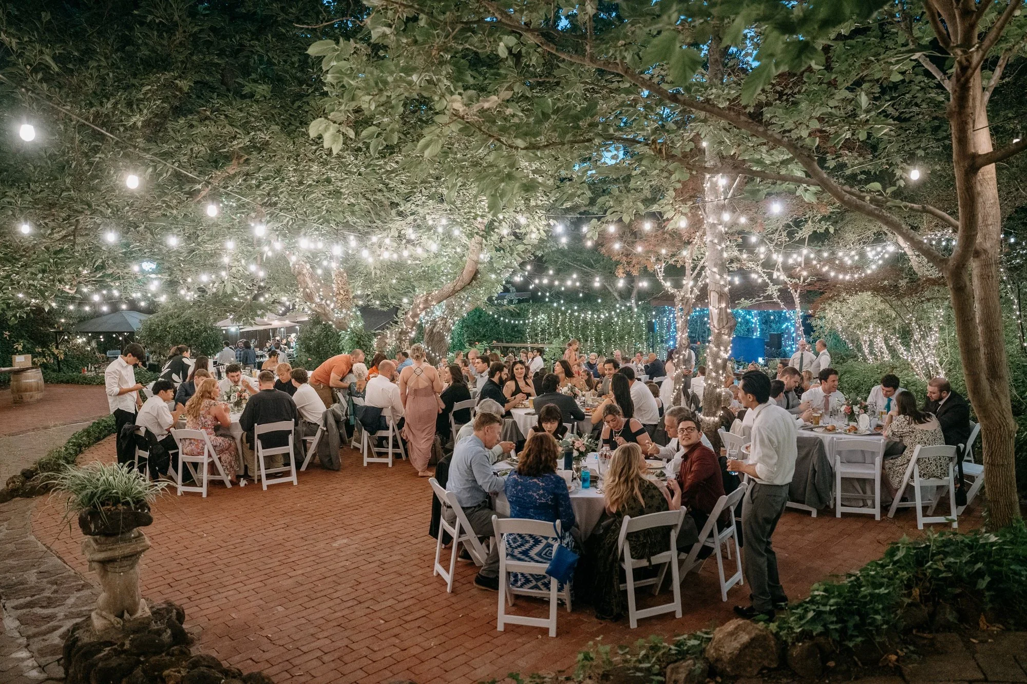 Guests gathered for dinner under the trees