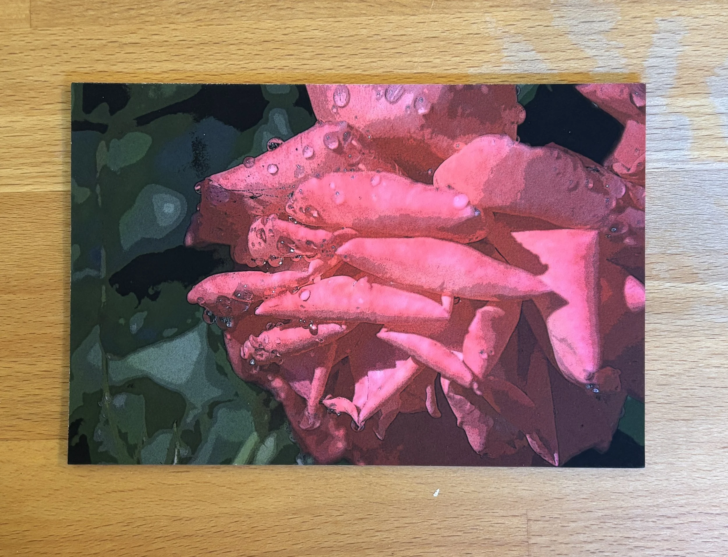 Rose Closeup Stylized Photographic Print