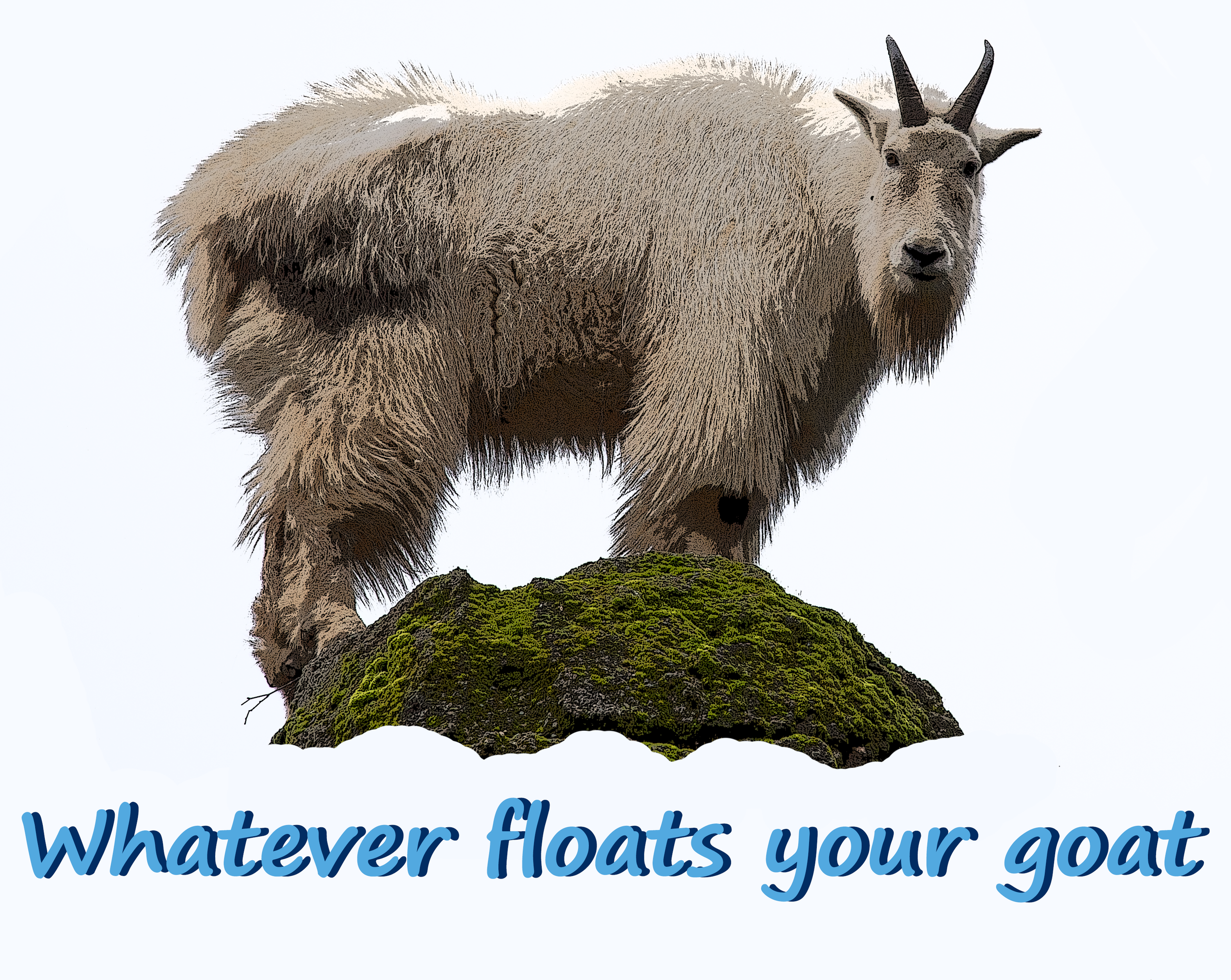 Whatever Floats Your Goat