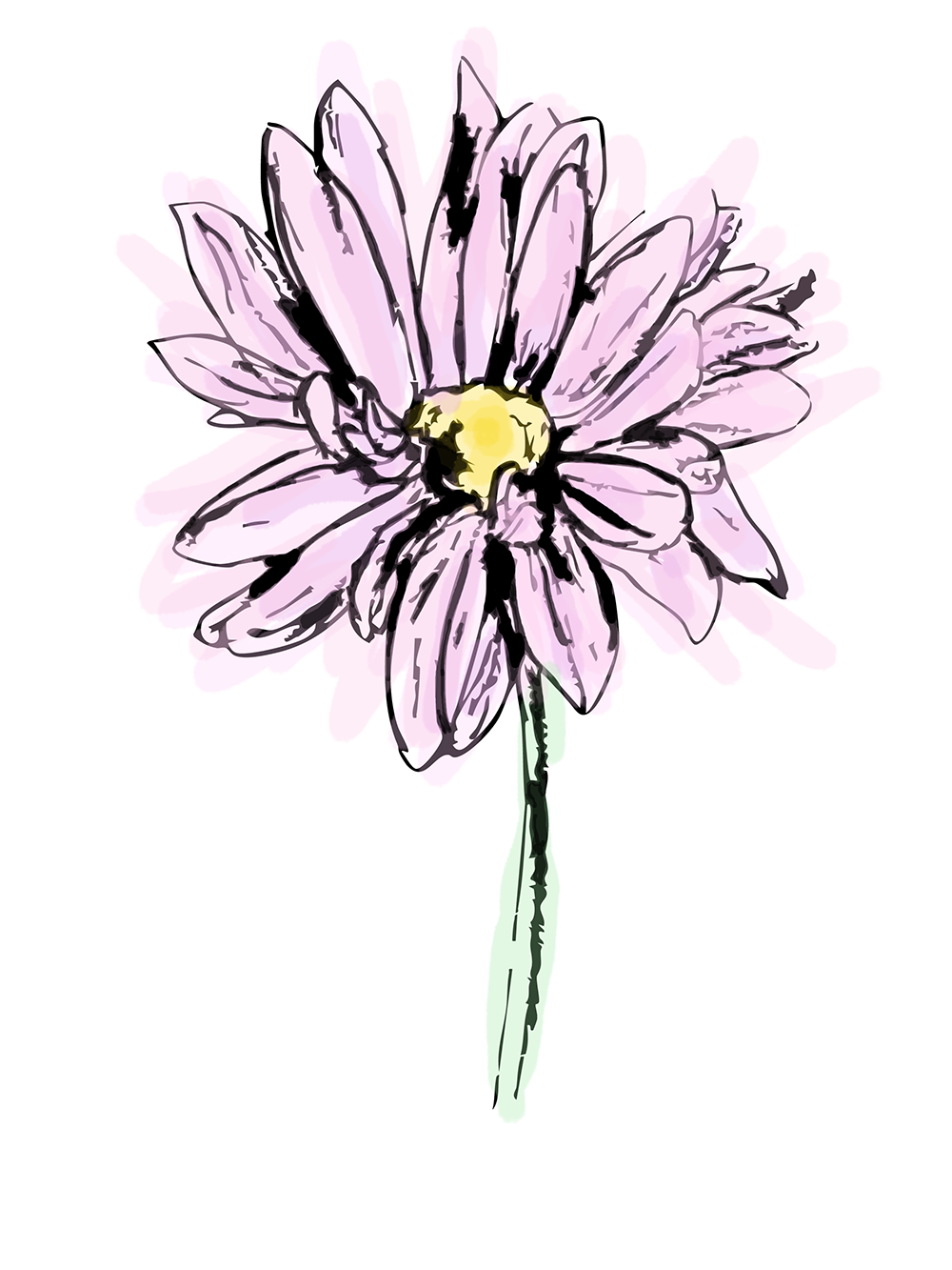 Pink Daisy Line Drawing