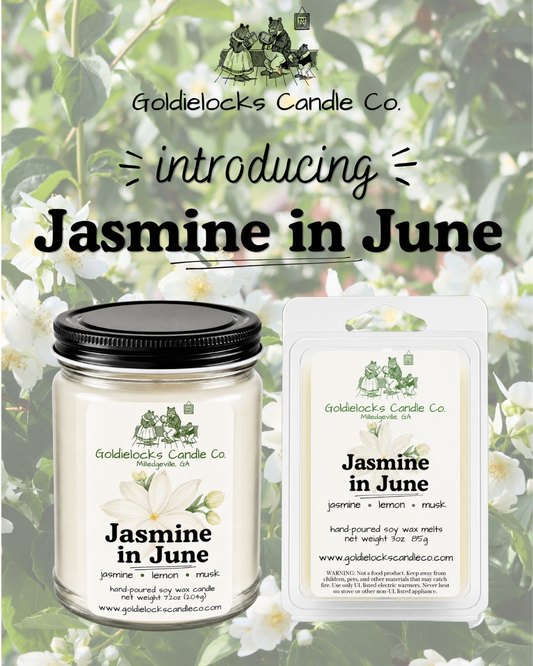 Jasmine in June