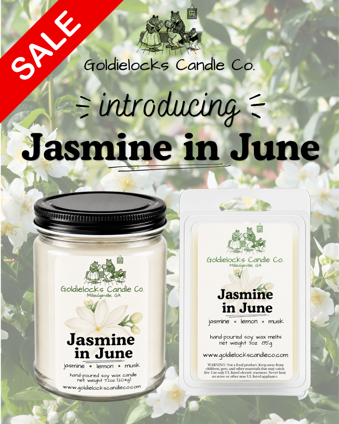 Jasmine in June