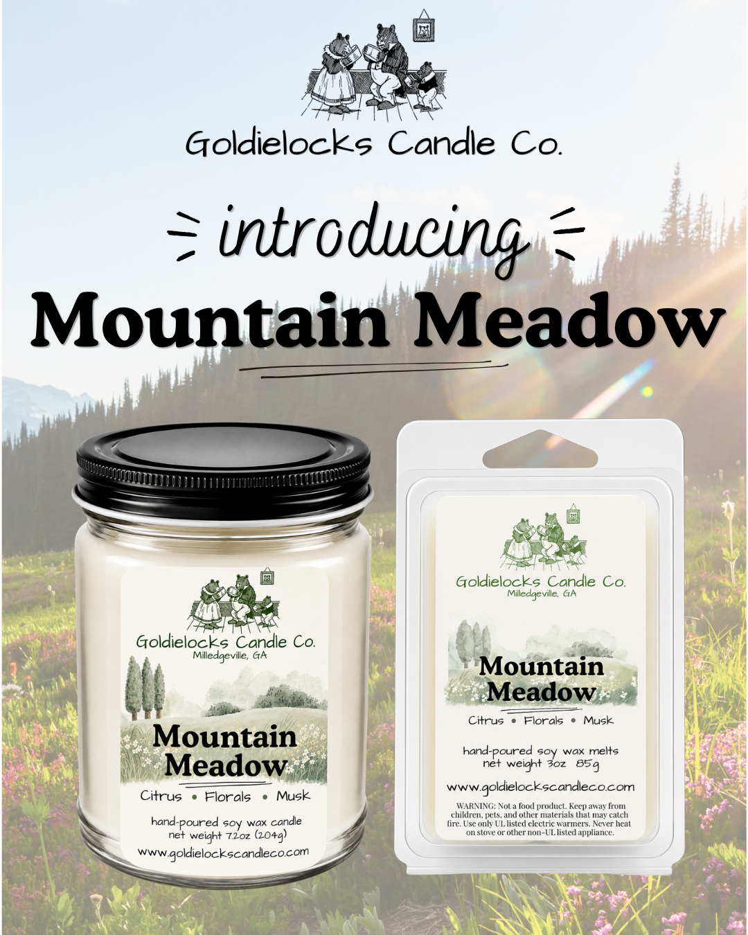 Mountain Meadow Intro.png
