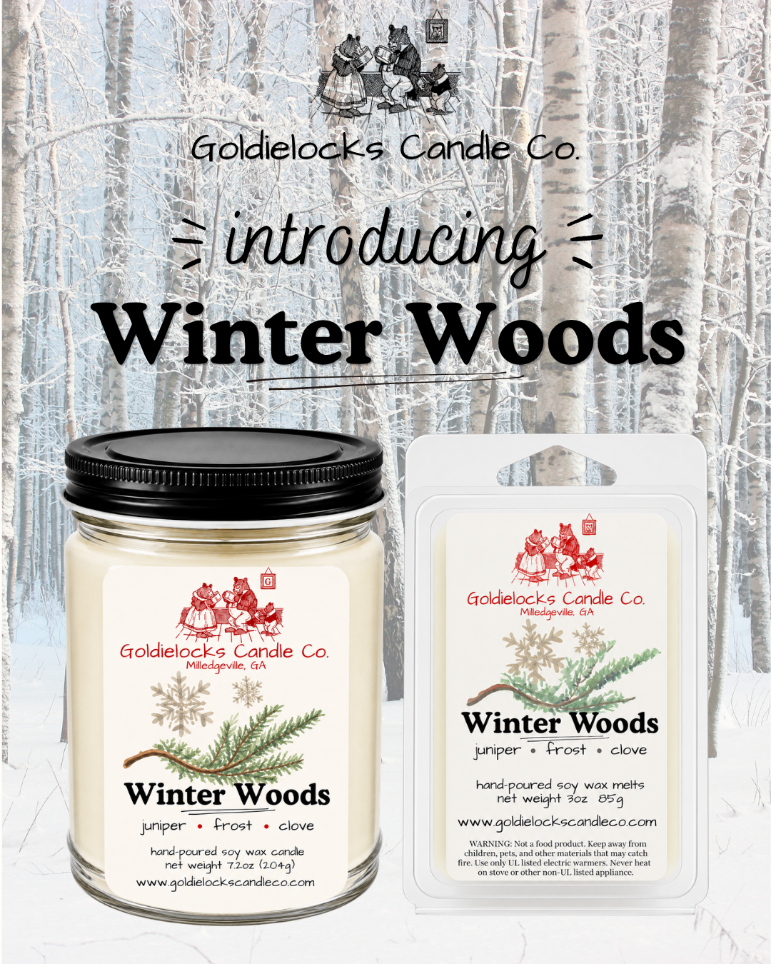 Winter Woods Intro.png