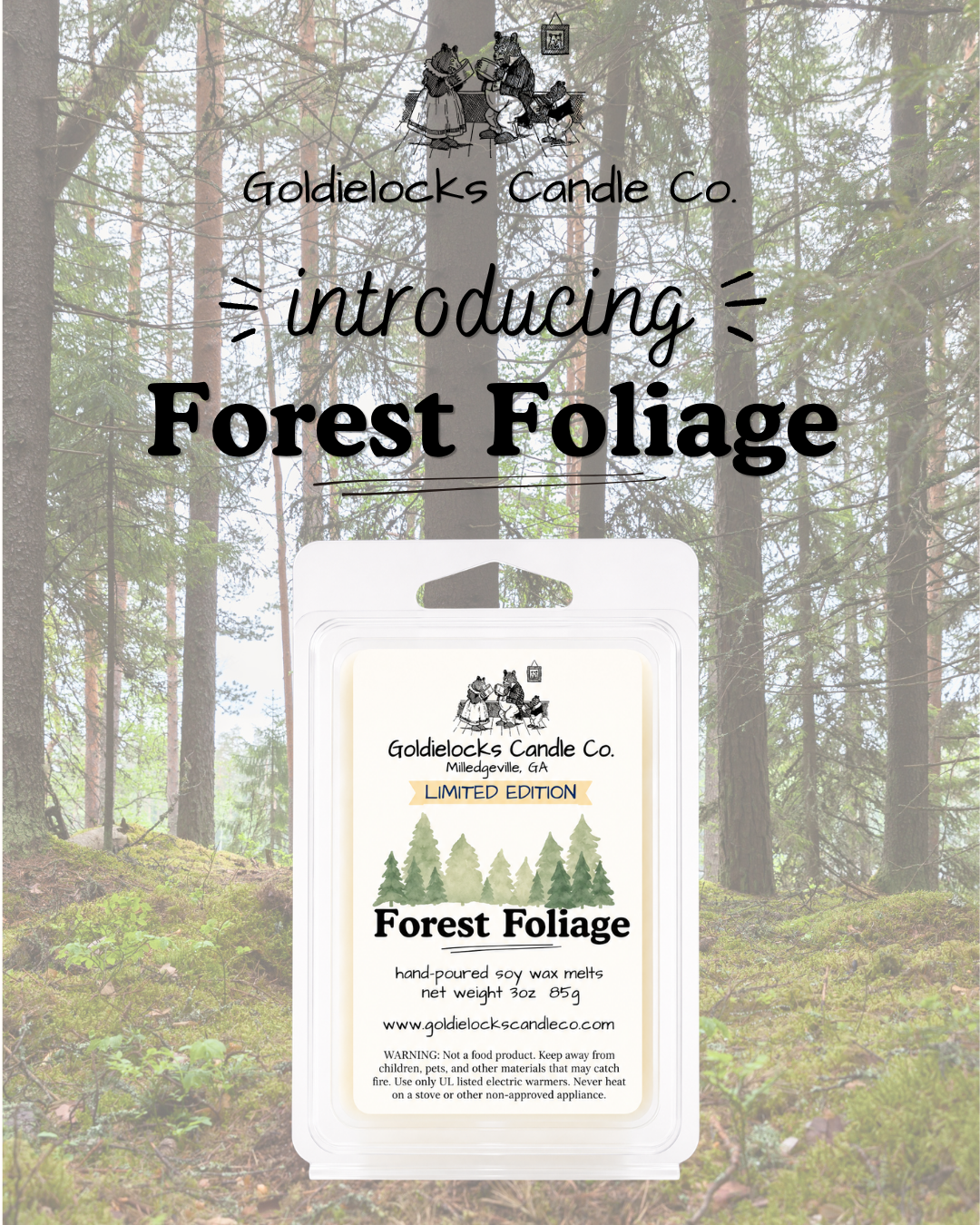 Forest Foliage Intro.png