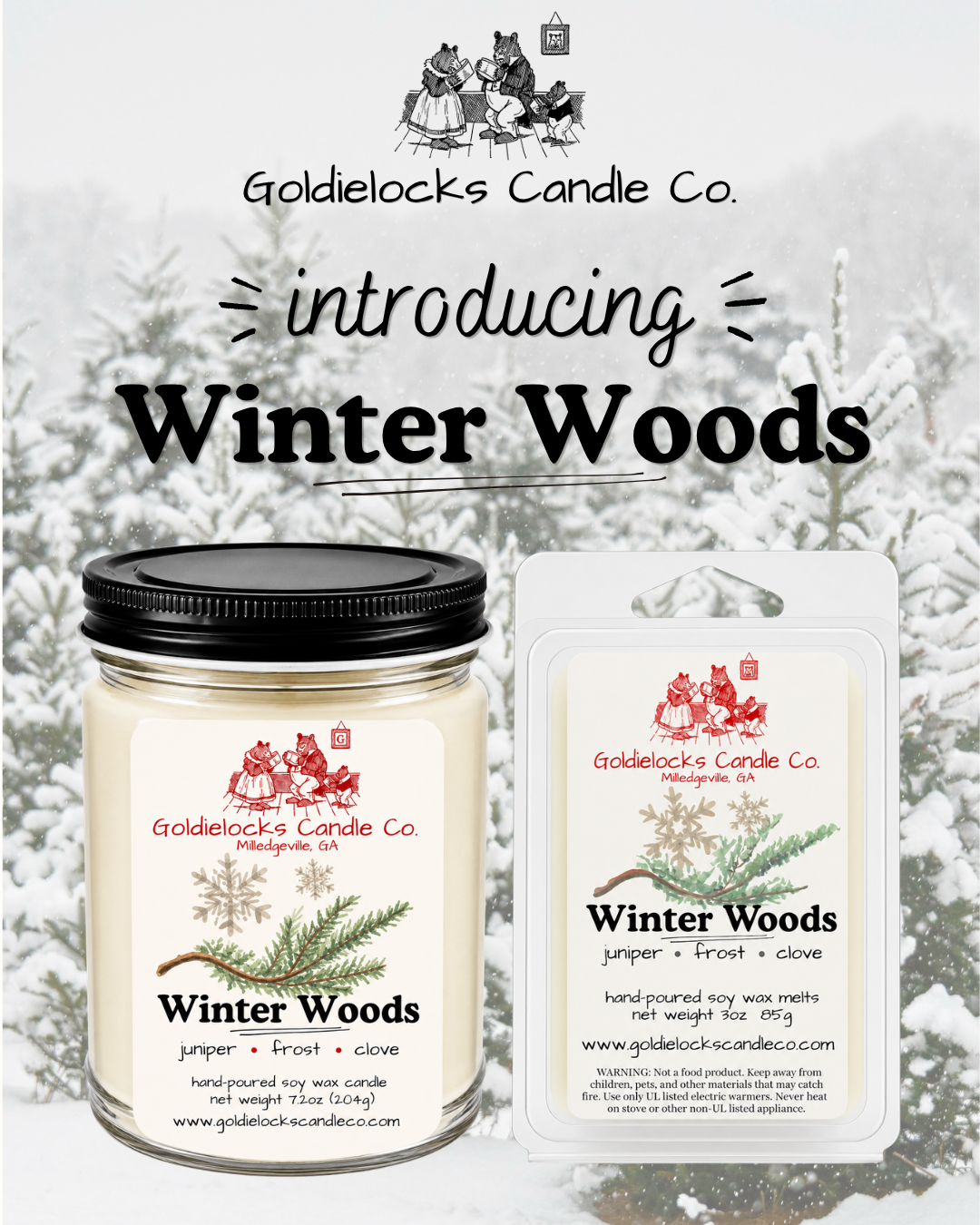 Winter Woods