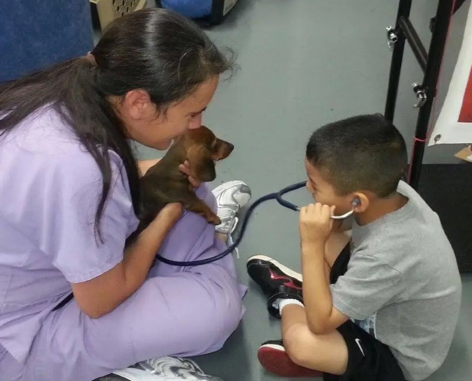 The Changing Face of Veterinary Medicine