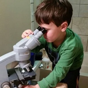 Common tests for my veterinary patients