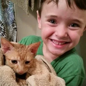 The cats in our life
