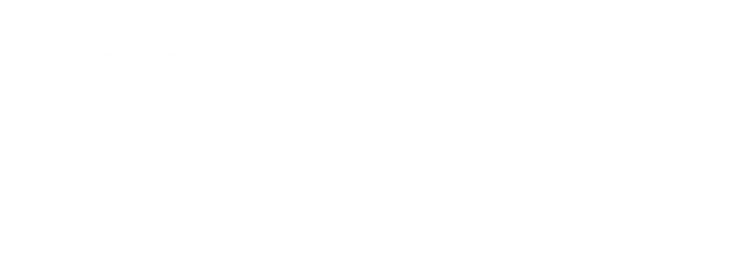 Plot