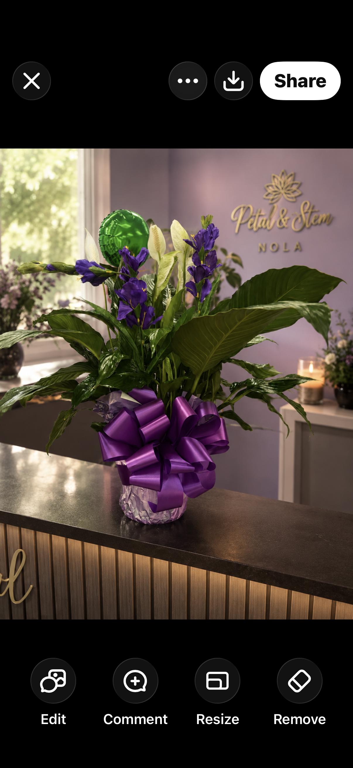 Elegant Peace Lily Plant Arrangement