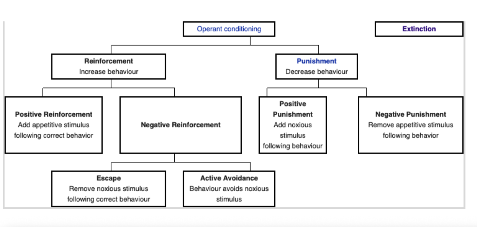Why Won't My Kid Listen To Me? The effects of intermittent reinforcement on the behavior of children