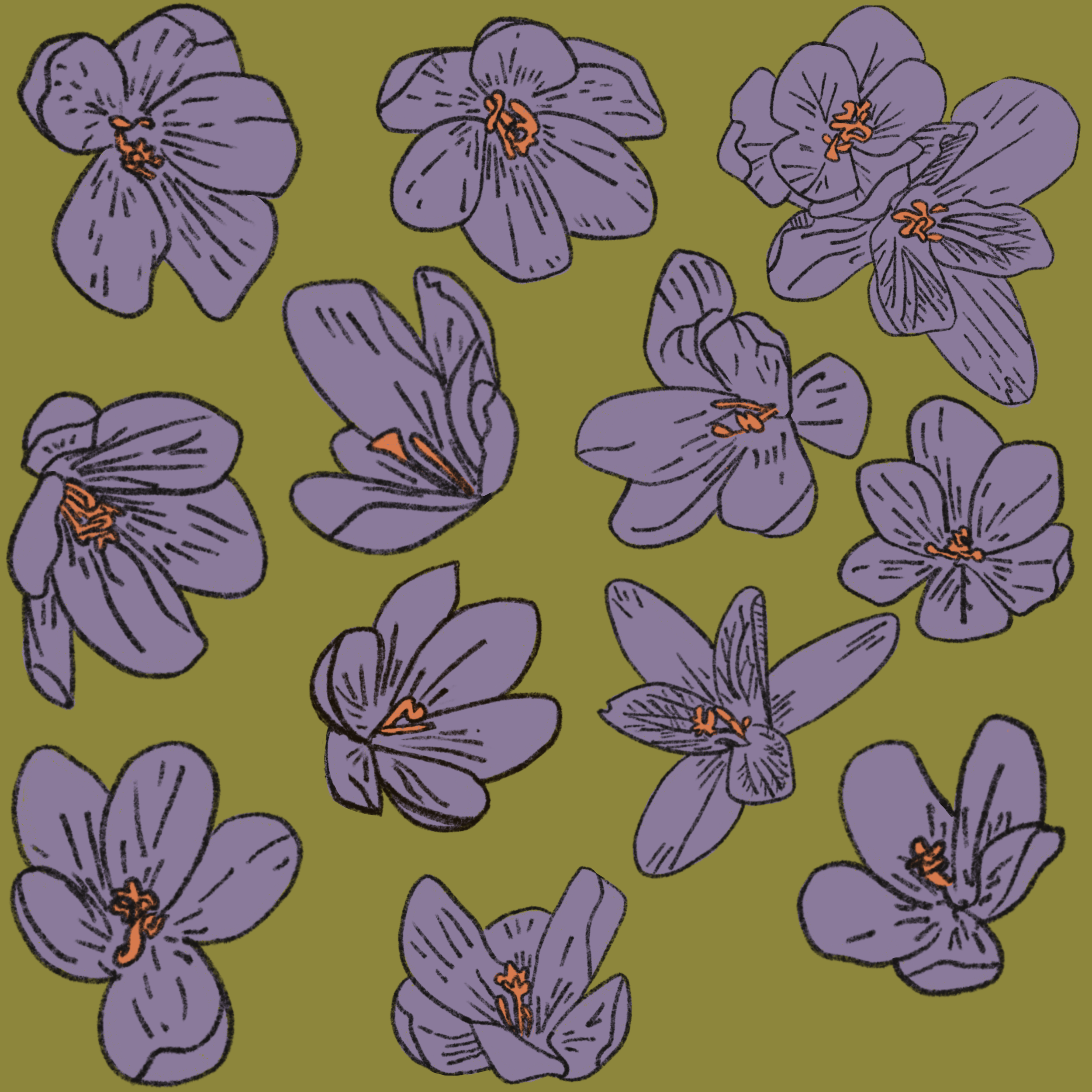 Crocus Scatter