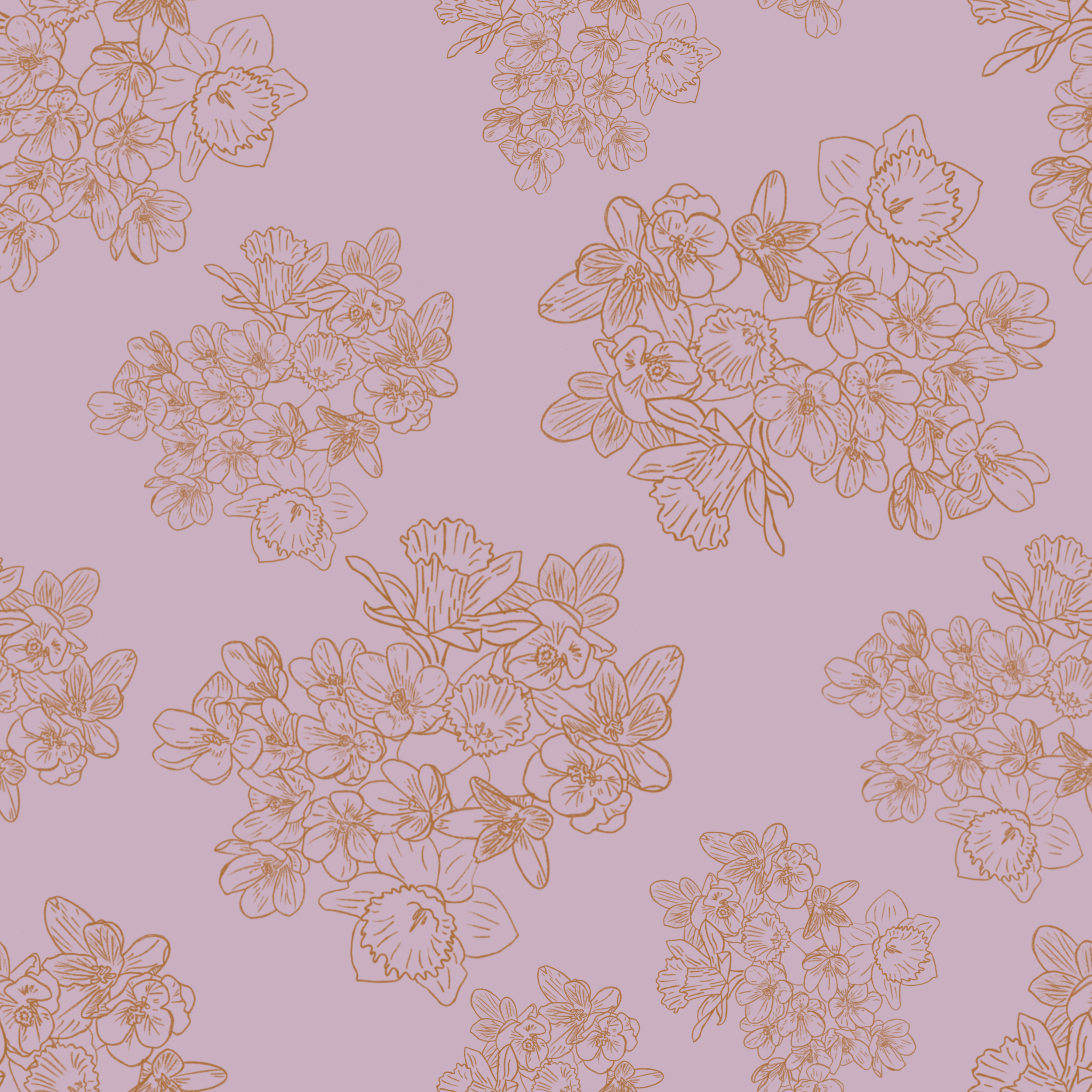 Spring Ground