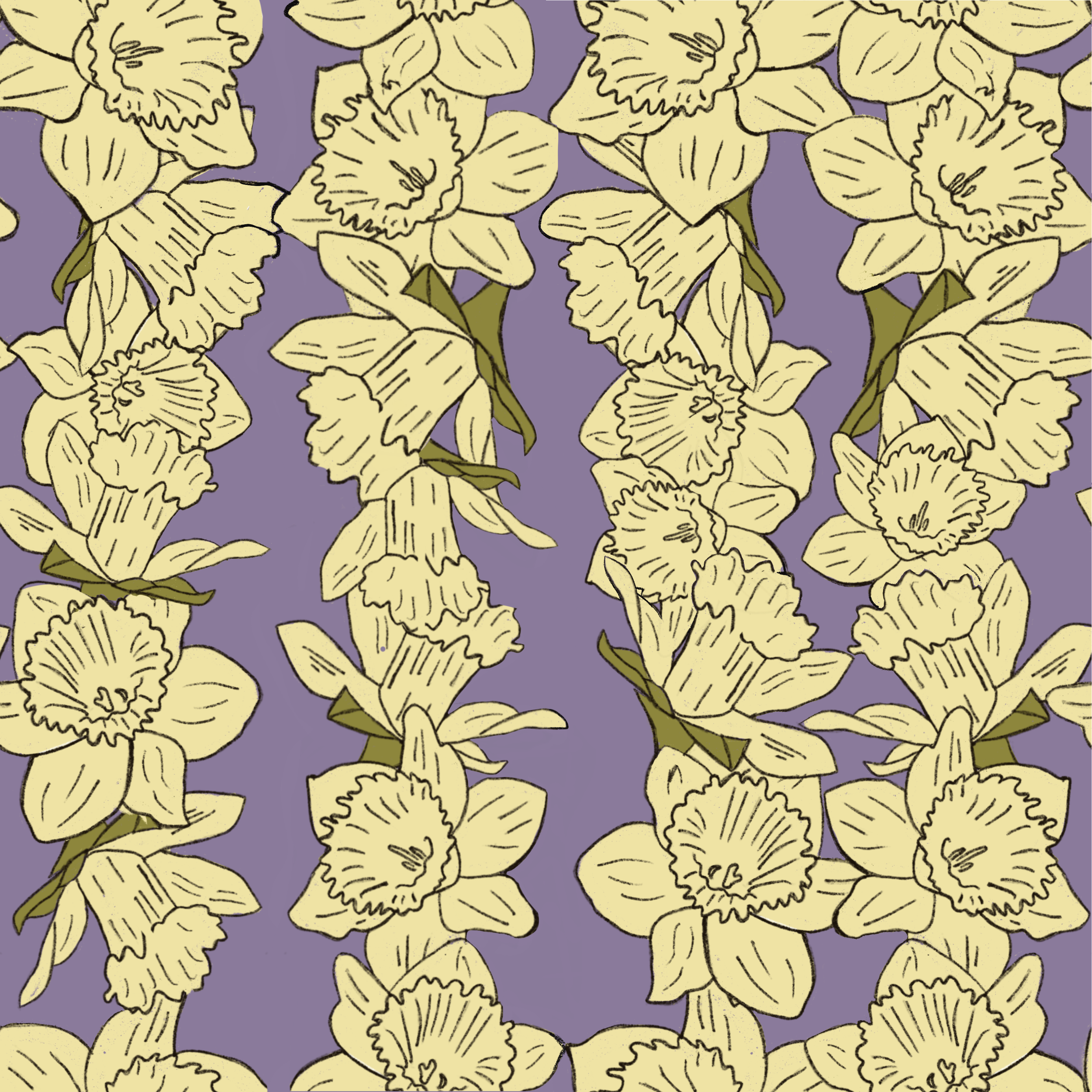 Daffodil Rows