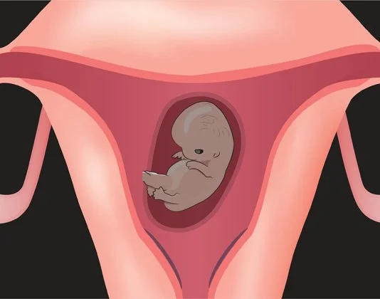 A digital illustration of an unborn fetus inside a woman's uterus.