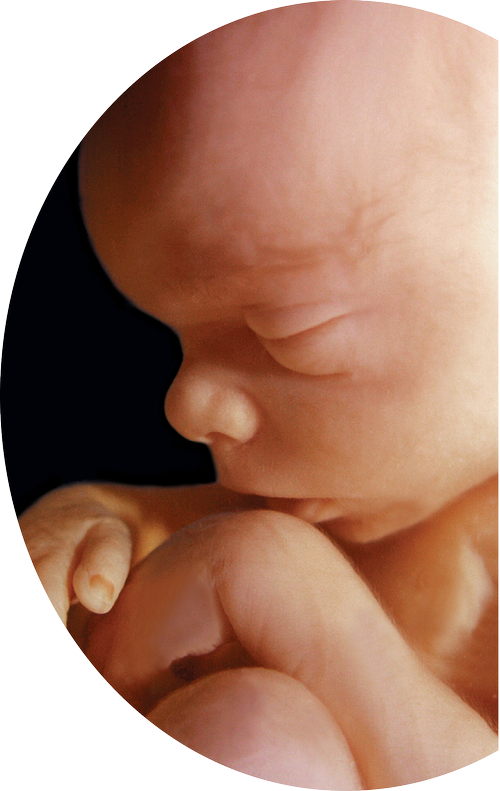 Close-up of a sleeping newborn baby with delicate skin, resting peacefully with a finger touching its chin.