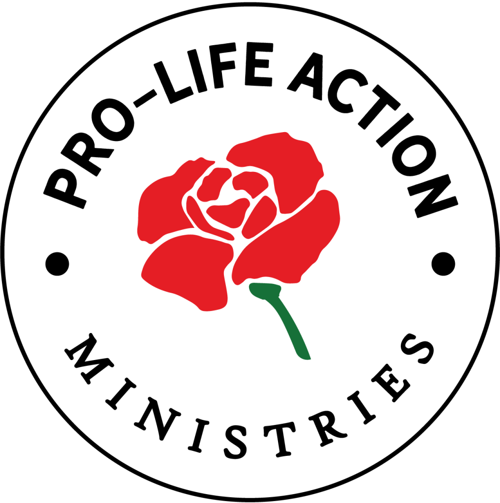 A simple illustration of a red rose with a green stem on a black background, with the words "LOVE" and "YOU" written above and below the flower.