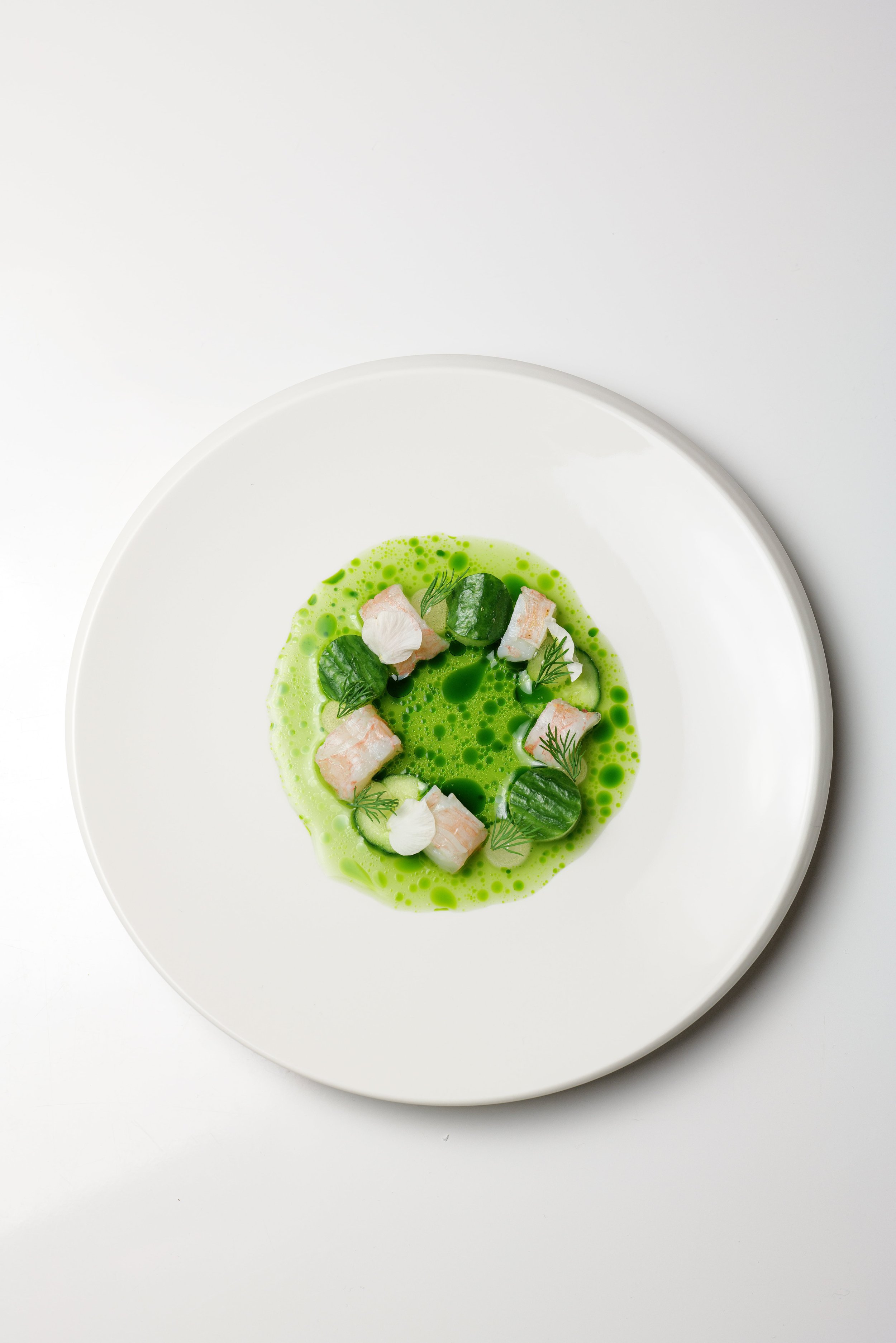 Ein weißer Teller mit grünem, cremigem Gericht, Garnele, Gurkenscheiben, grünen Blättern und Dill.