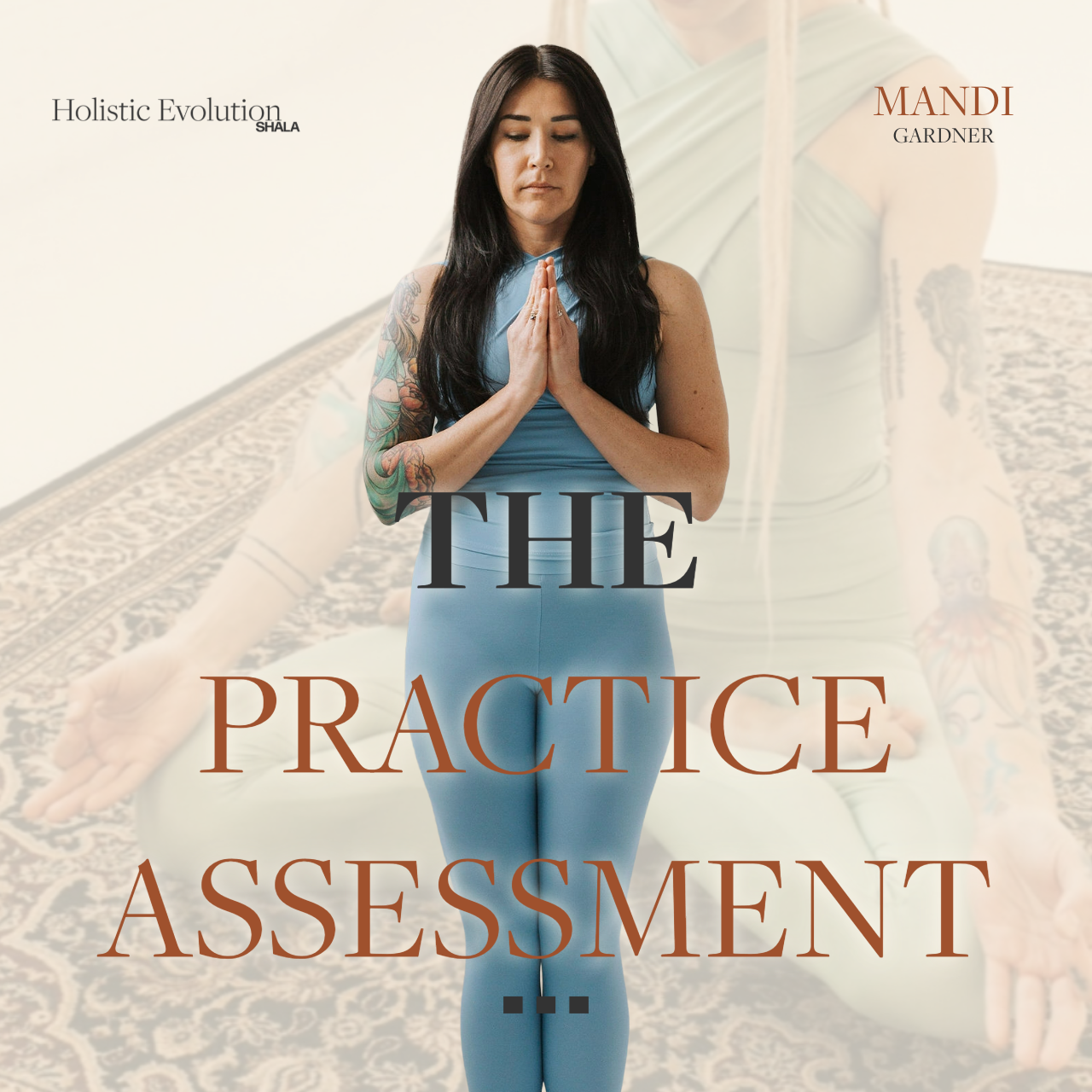 The Practice Assessment