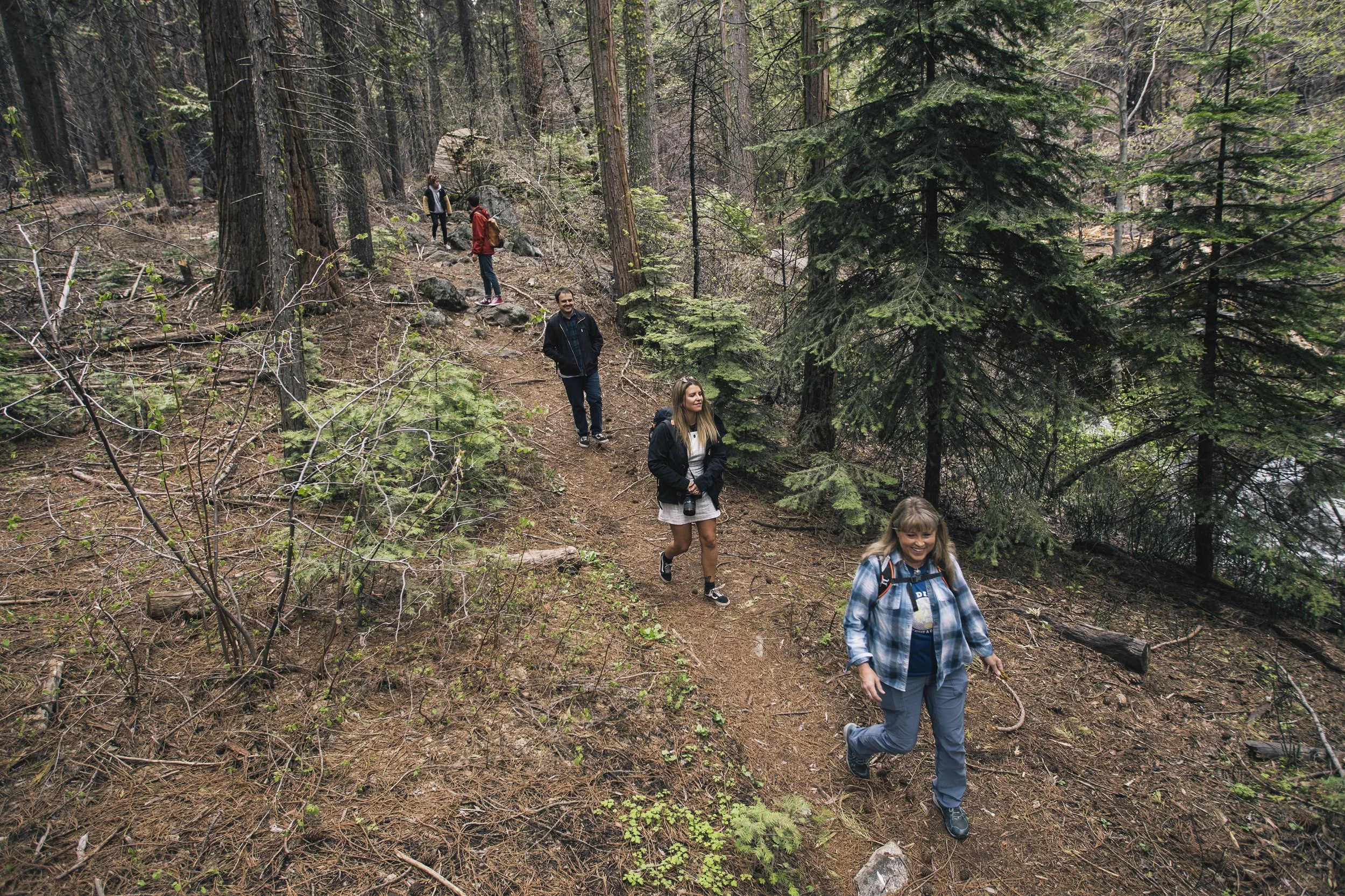 Trail