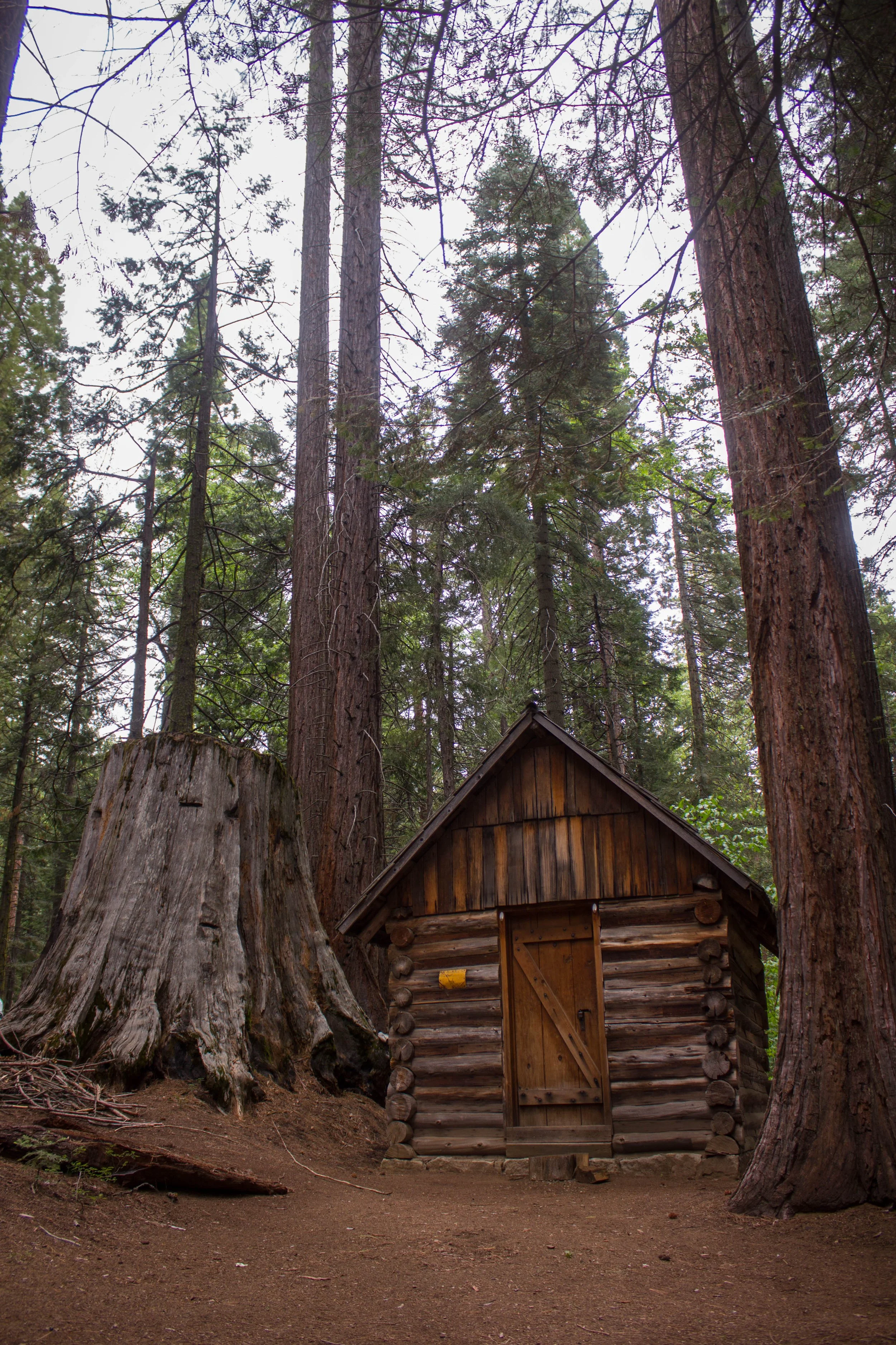 Bilabo Cabin