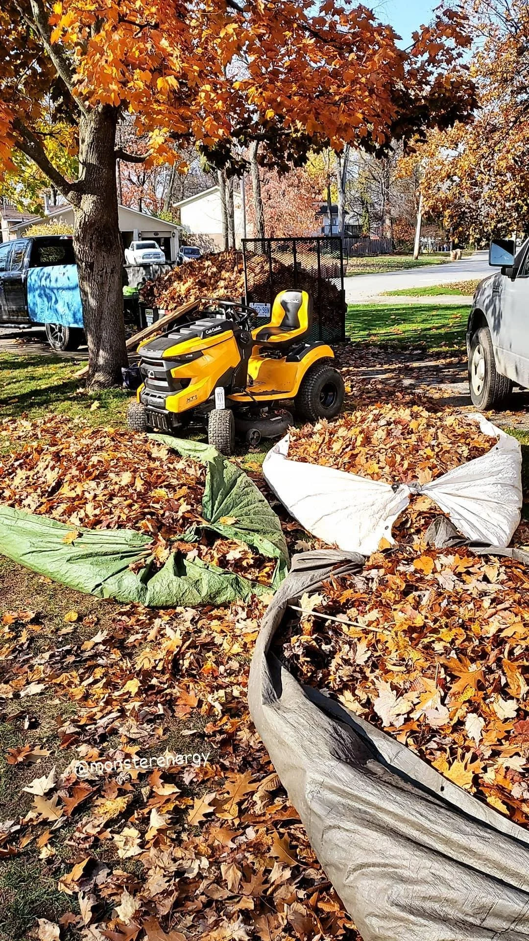 Seasonal Clean Ups