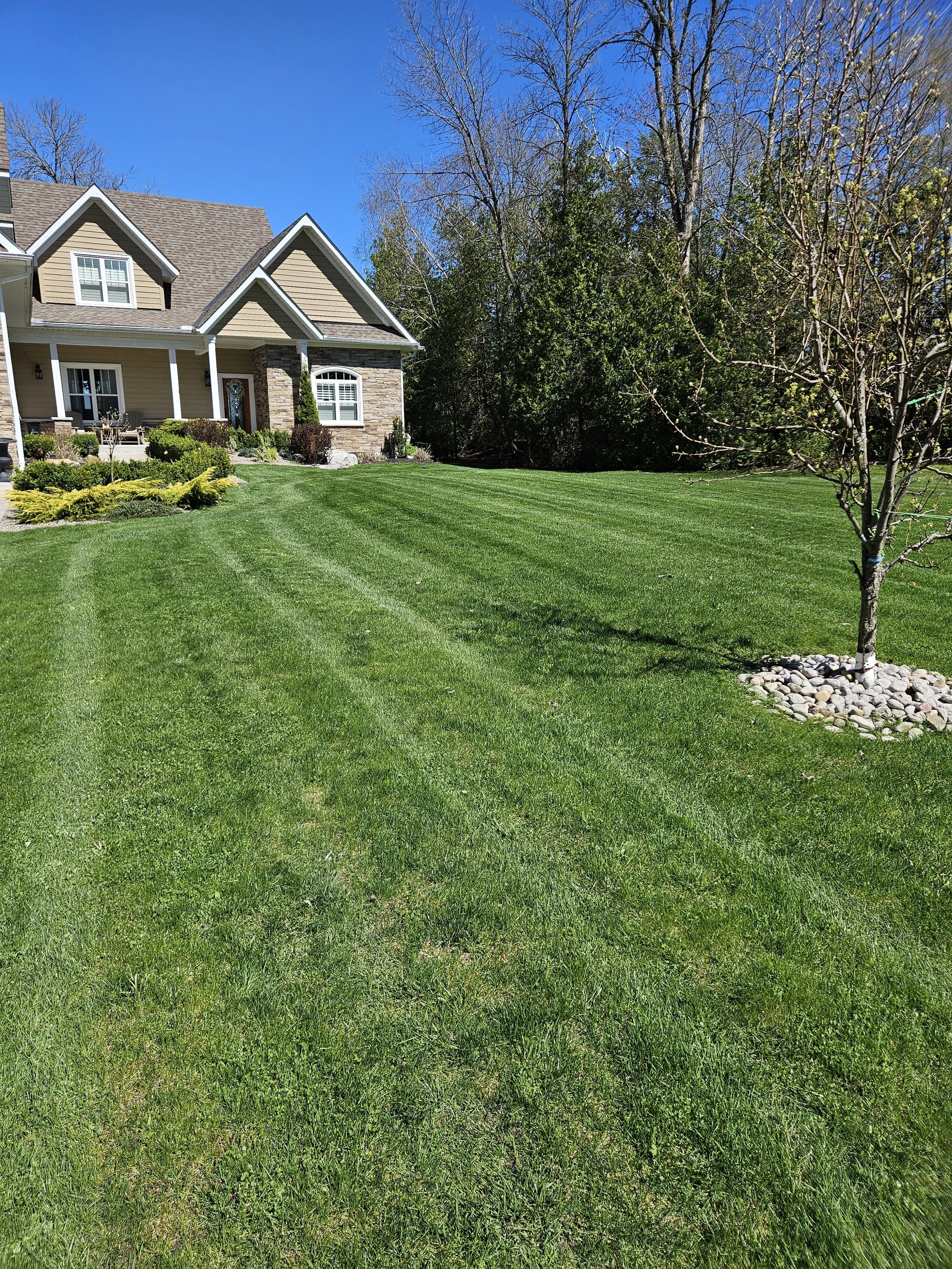 Lawn Care