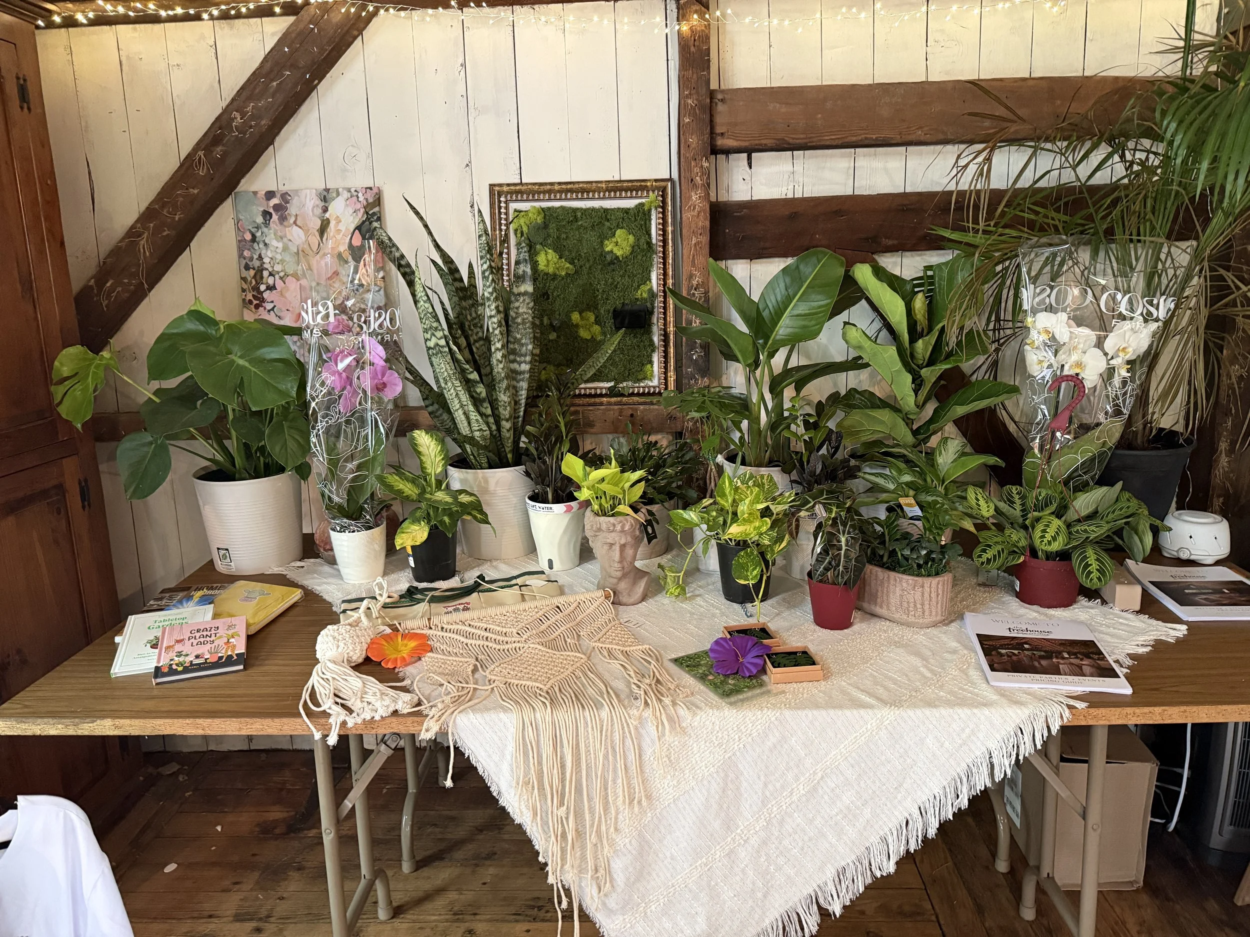 Our First Plant Bingo Night