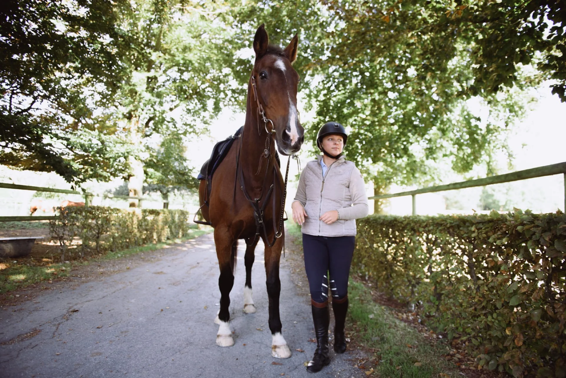 Une jeune fille en tenue d'équitation marche à côté d'un cheval brun avec des chaussettes blanches, sous un arbre dans un pré. Cauê Foto, photographe Amiens, photographe de mariage et événementiel