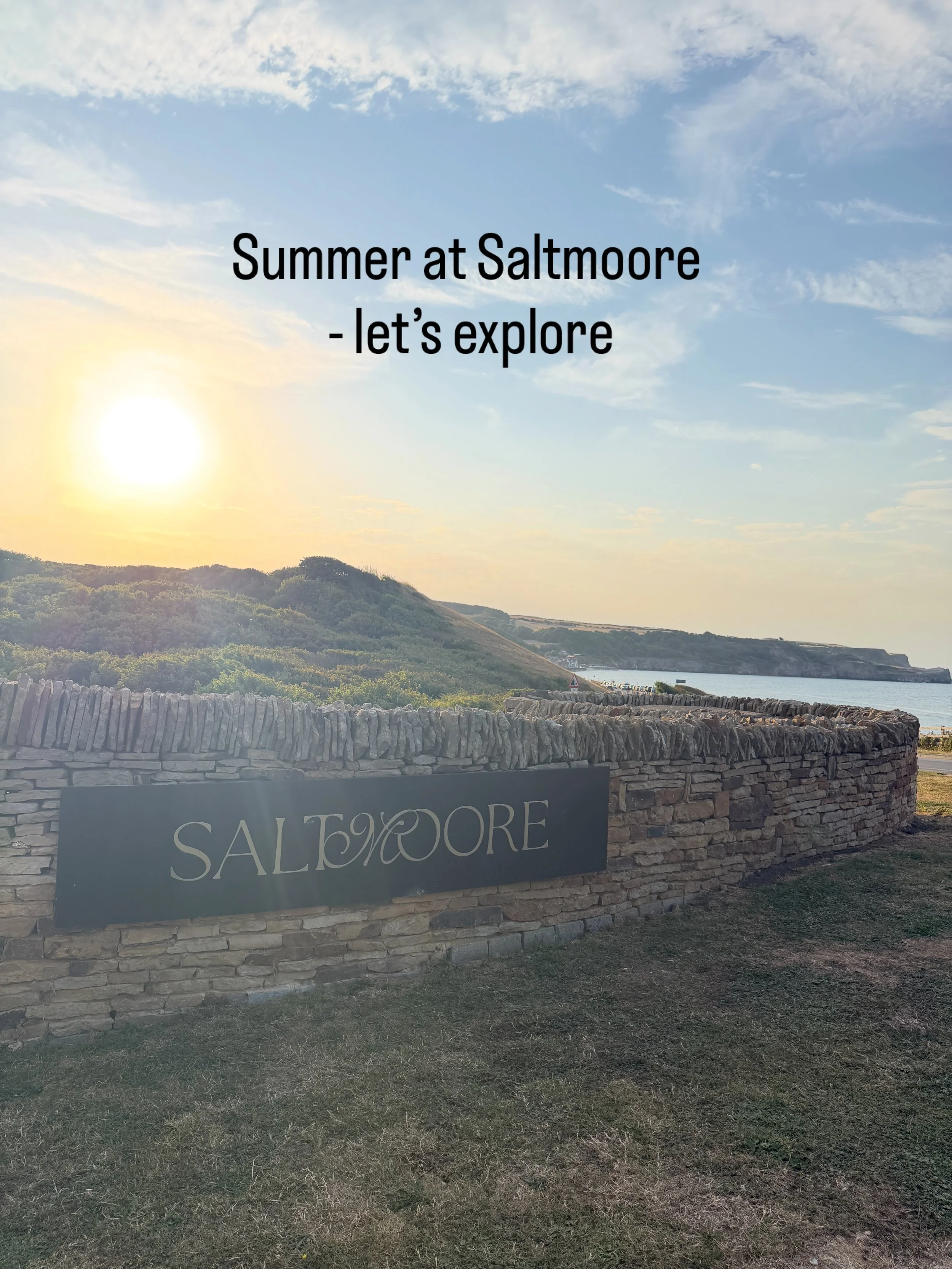 Some of the things I loved visiting @saltmoore_ in the summer:
- long days
- pretty flowers
- light salad lunches 
- blue skies 
- a drink on the terrace
- garden views 
- magical light 
- beach walks&hellip; and more beach walks
- sea breeze
- early