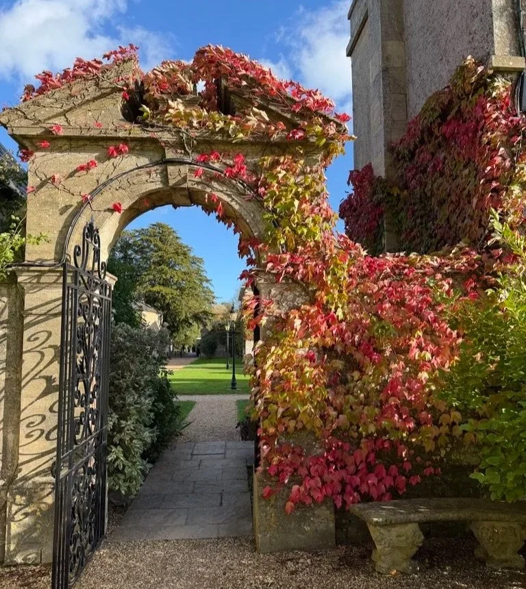 Lucknam Park stone arch covered in autumn red ivy leaves with a stone bench to the right and a black iron gate to the left.